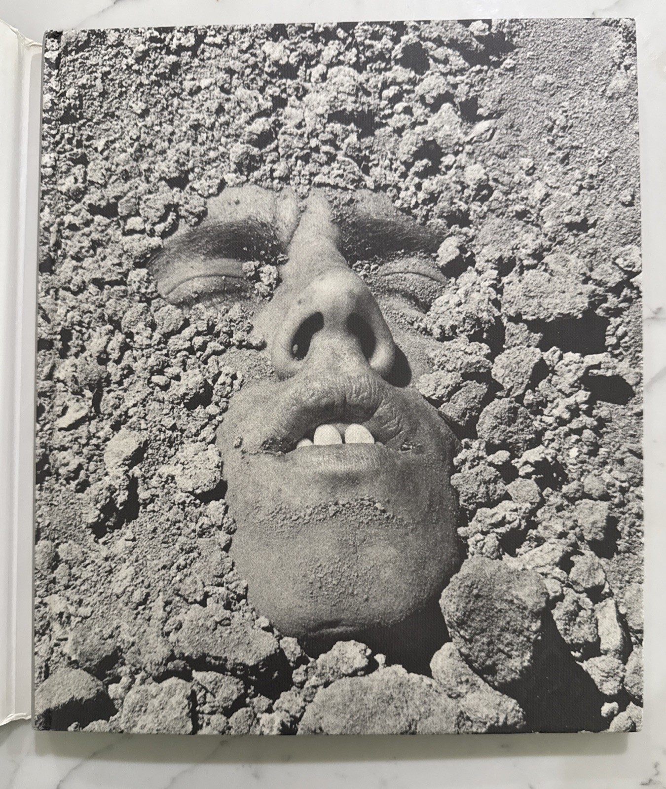 David Wojnarowicz : Brushfires in the Social Landscape (Hardcover, 1st/1st 2002)