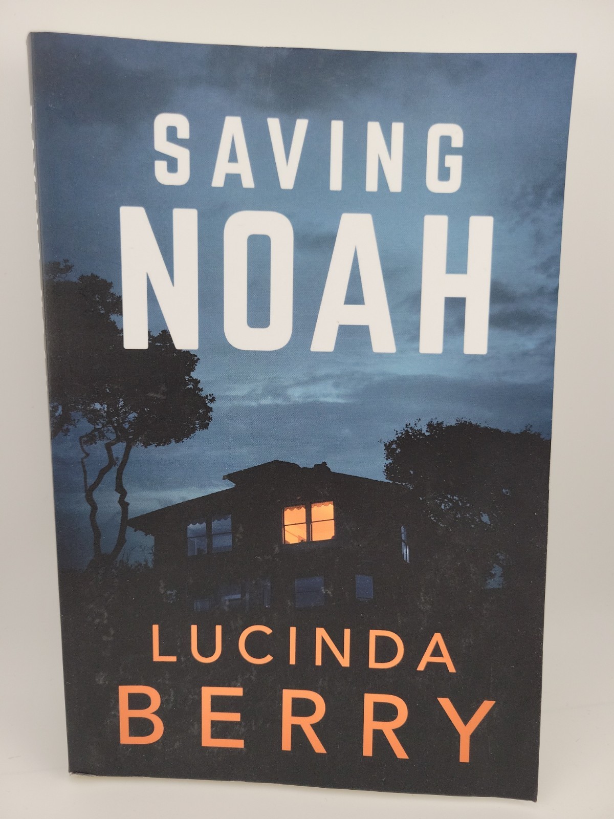 Saving Noah: A Novel by Lucinda Berry (Paperback)