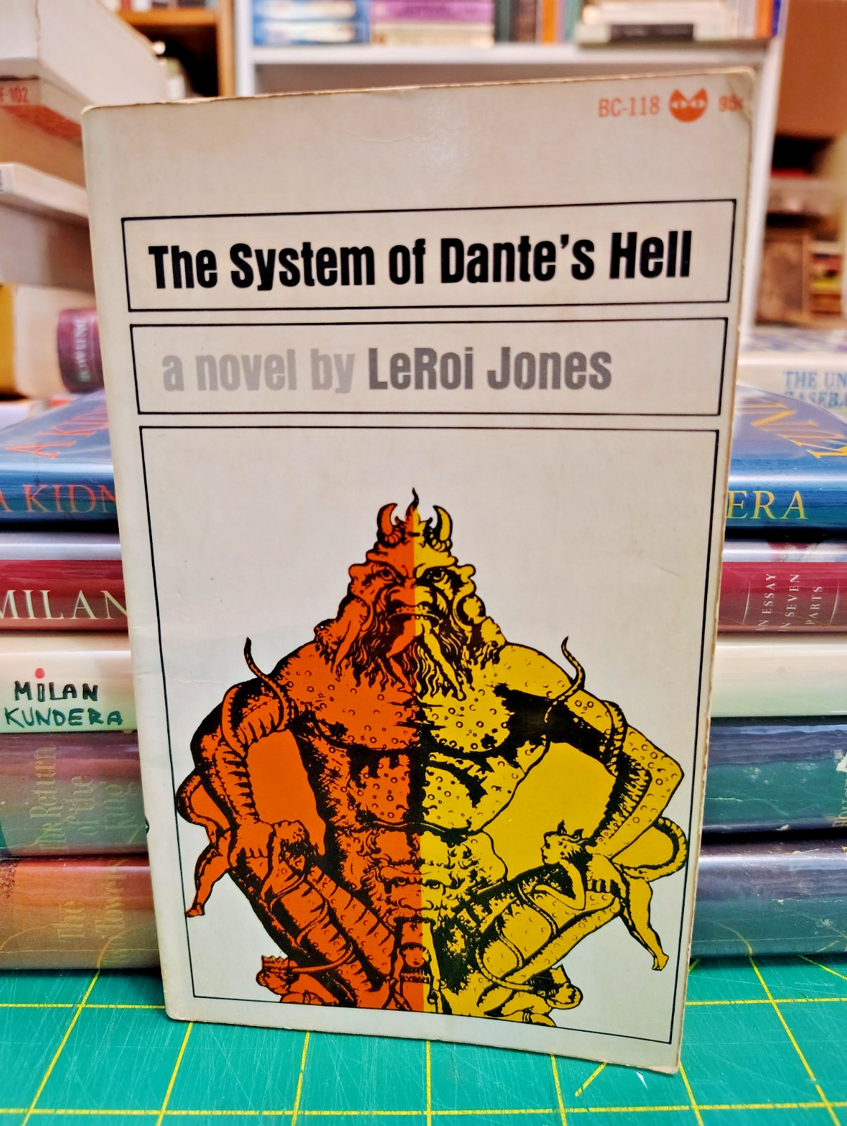 The System of Dante’s Hell LeRoi Jones Grove Evergreen Black Cat PB 1966 2nd Pri