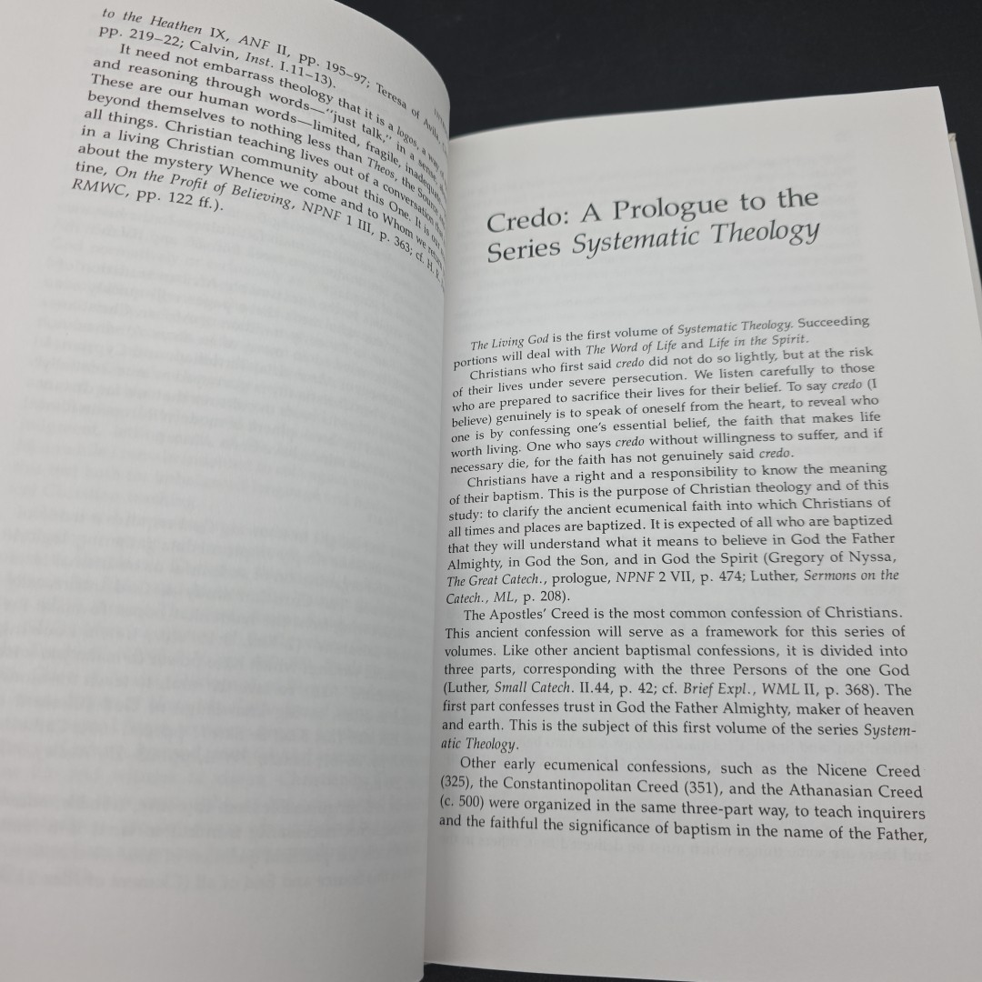 The Living God Systematic Theology, Volume 1 by Thomas C. Oden hardcover 2001