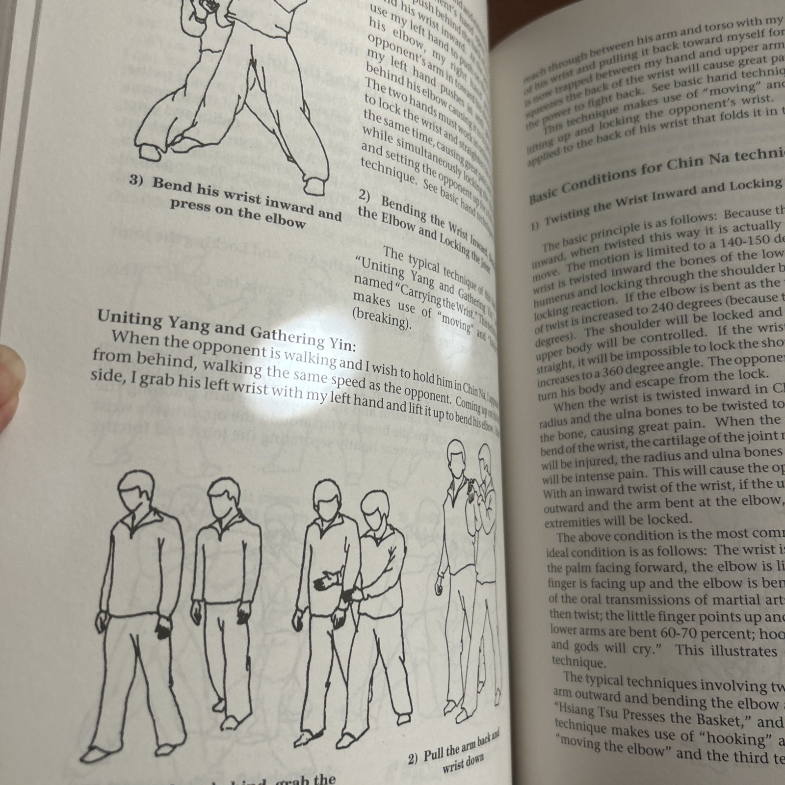 Practical Chin Na: A Detailed Analysis of the Art of Seizing and Locking LK NEW