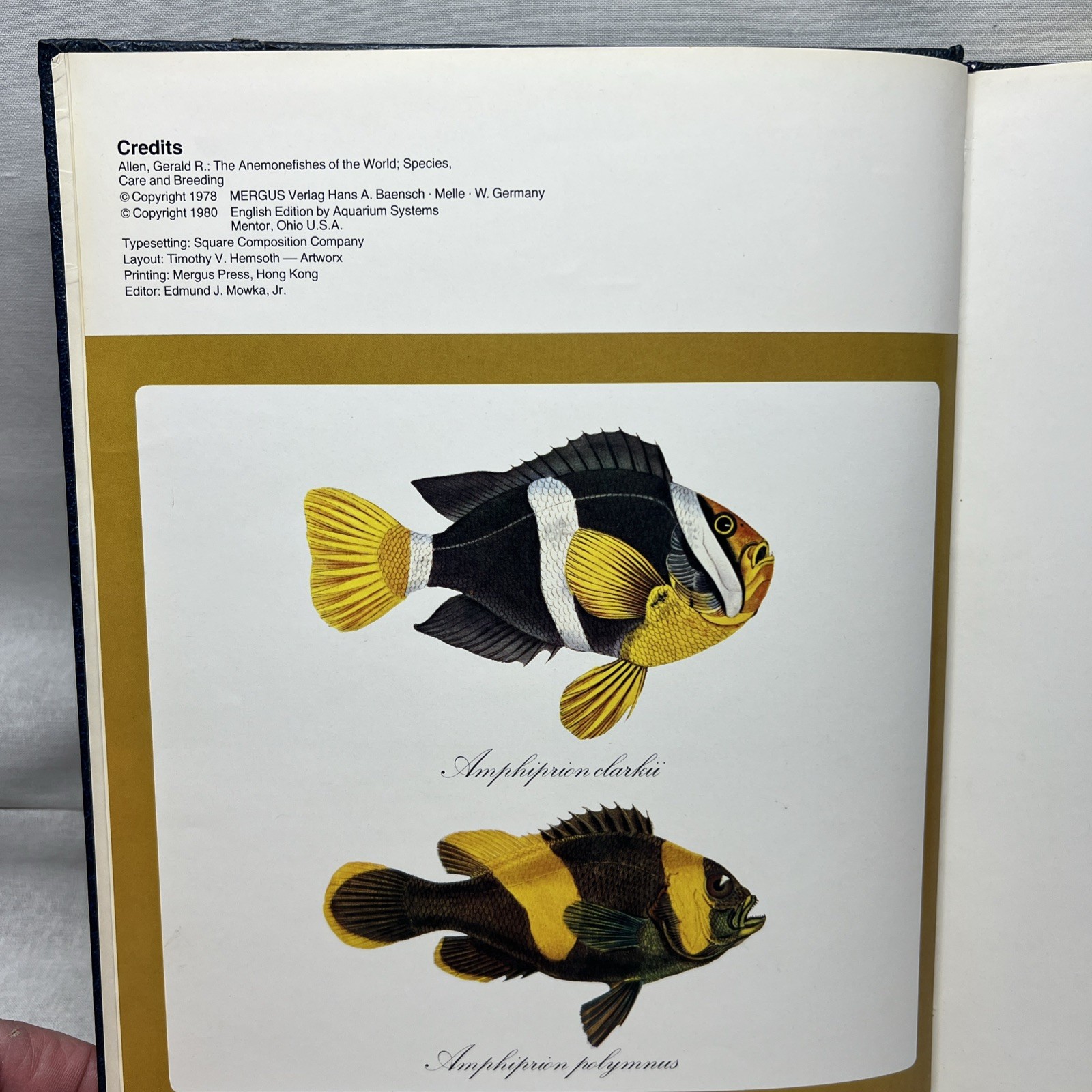 Anemonefishes of the World by Dr. Gerald R Allen Copyright 1980