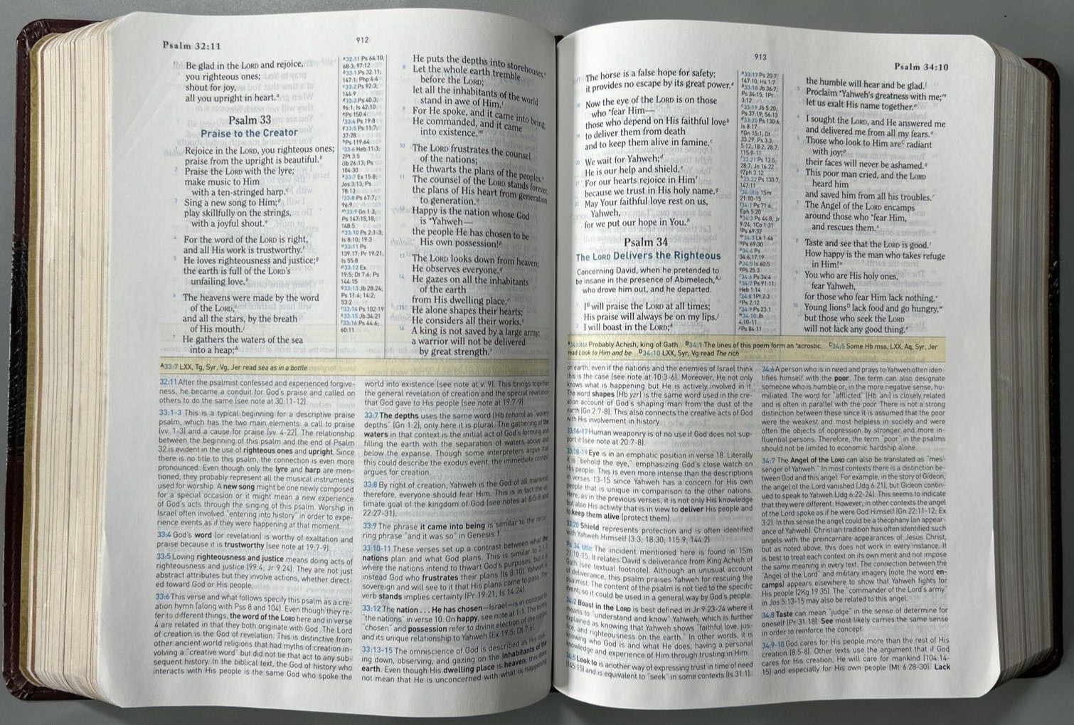 HCSB Study Bible Mahogany Duotone Simulated Leather Clean Text G+ USA Print