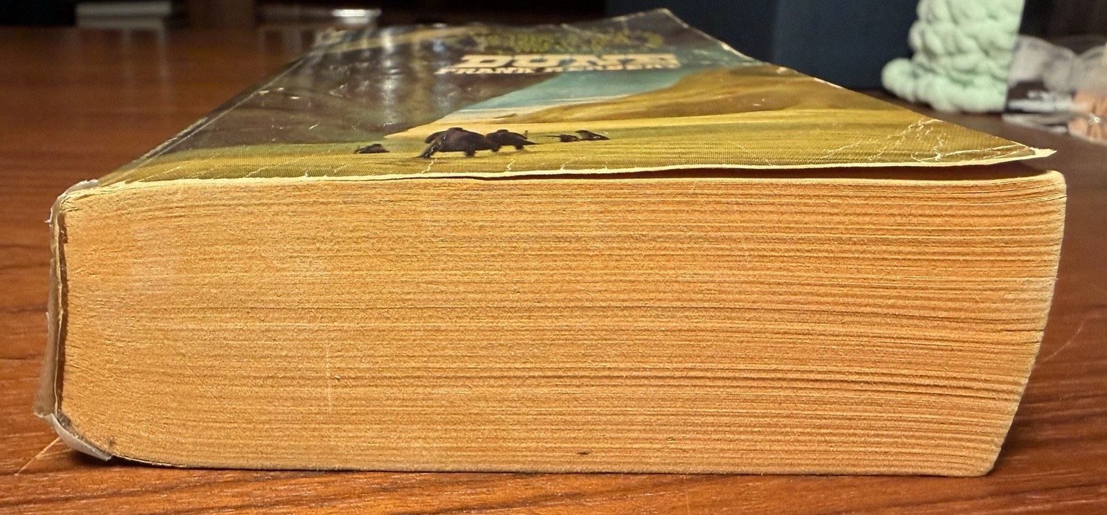 Dune Frank Herbert 1965 Ace Books MM Paperback Edition ($1.25) Schoenherr Cover!