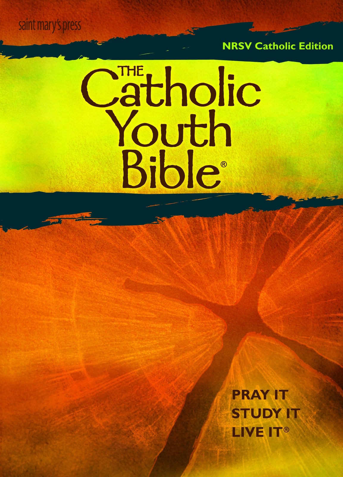 The Catholic Youth Bible, Third Edition: New Revised Standard Version: Catho…