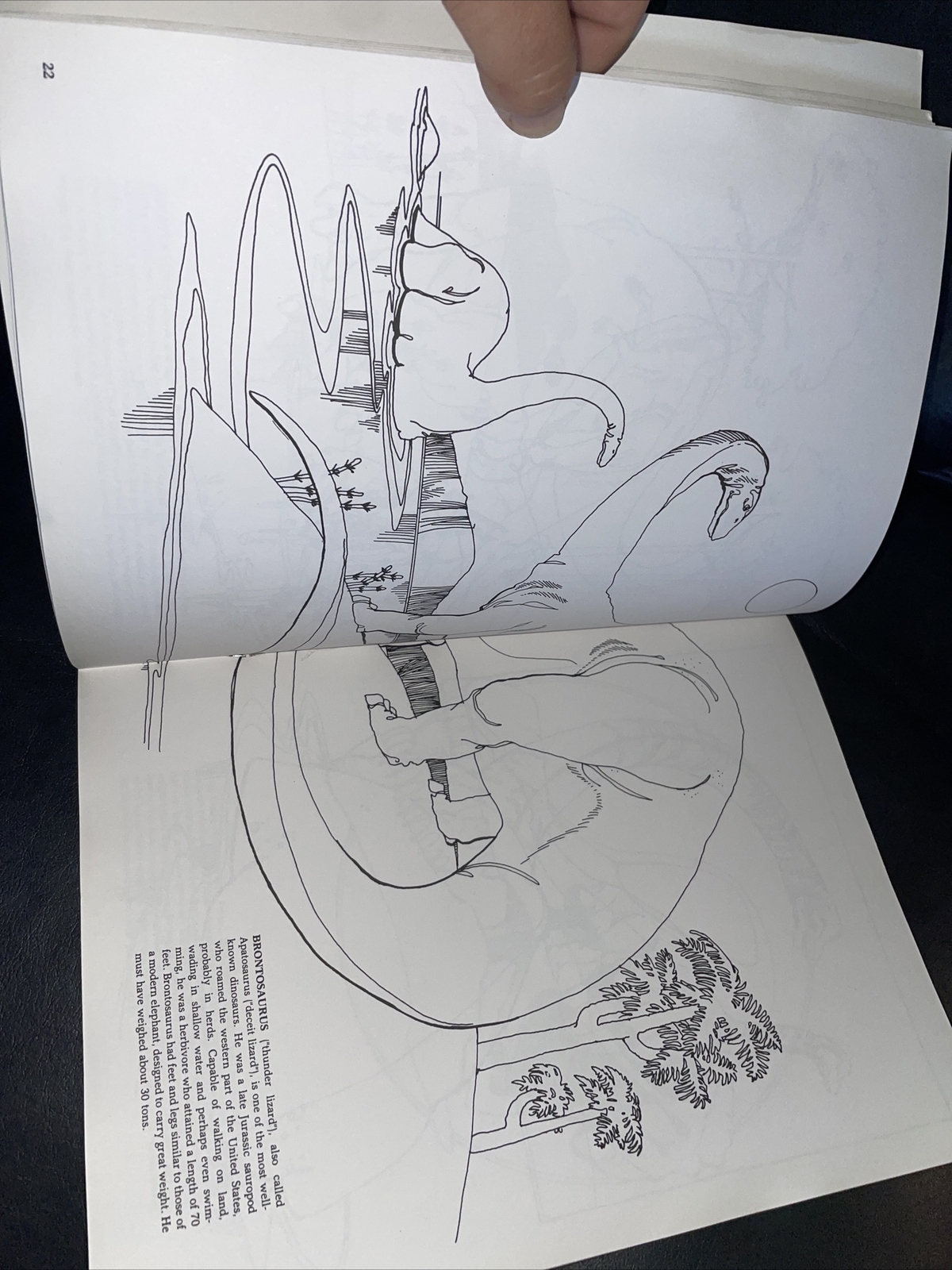 Dinosaur Coloring Book (Dover Nature Coloring Book) by Anthony Rao 90% Uncolored