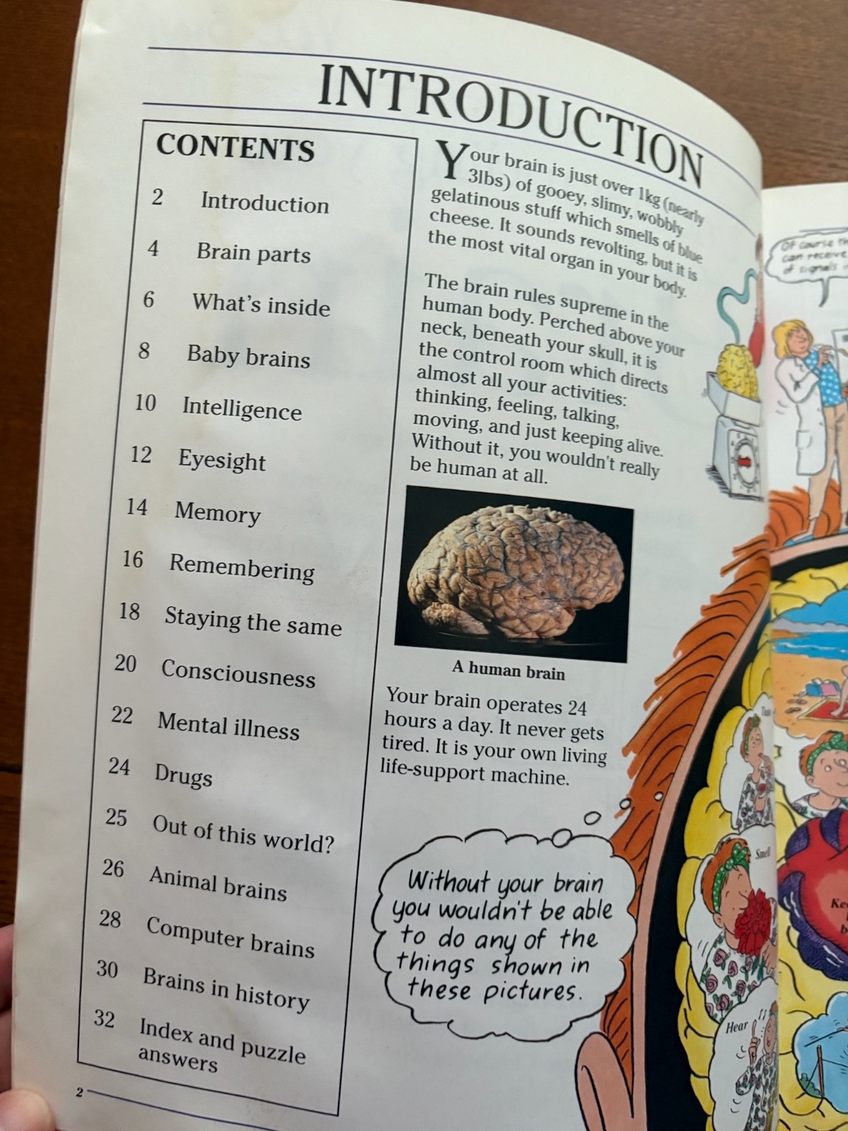 Understanding Your Brain: Science for Beginners Series (Usborne)