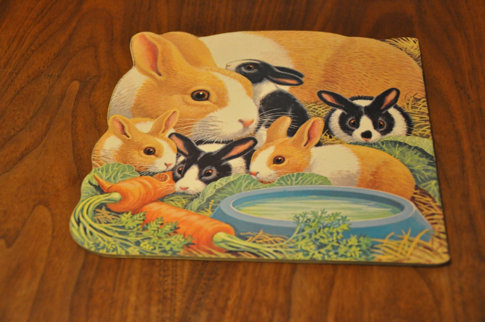 1978 The Home is the Best Children’s Kids Book Golden Press USA Rabbits Vintage