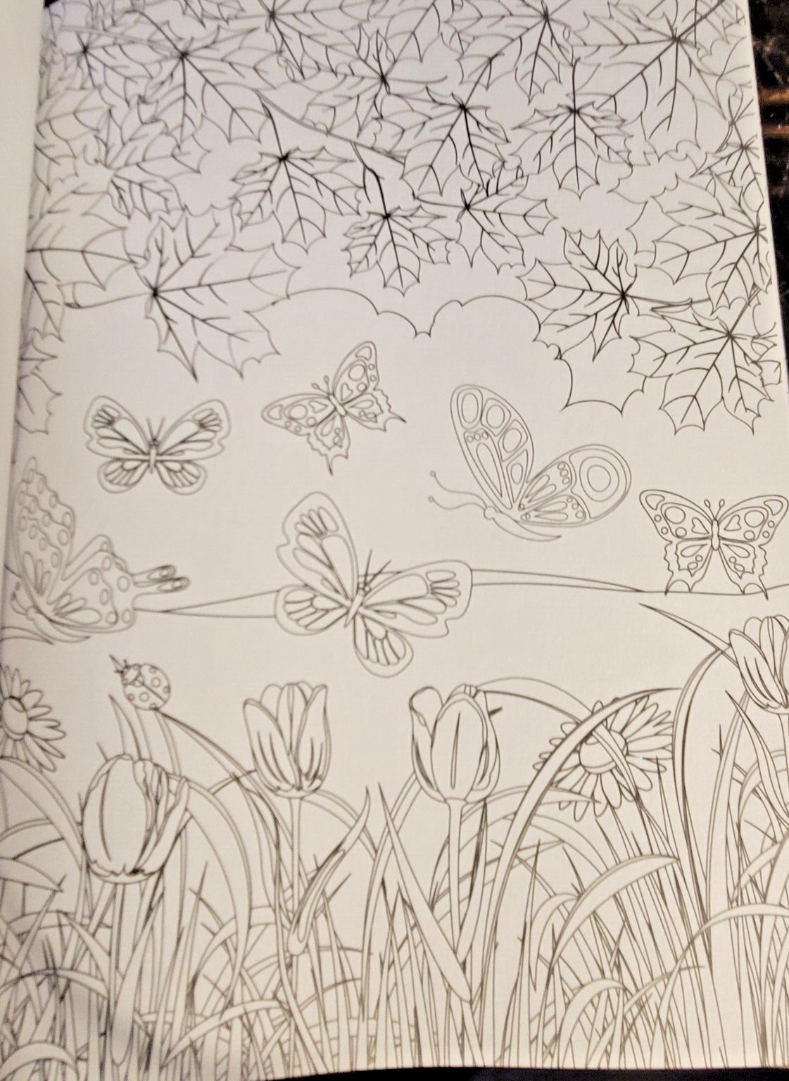 COLORS OF THE WILD Vol. 20 Adult Coloring Book With 47 Prints Ready To Frame!