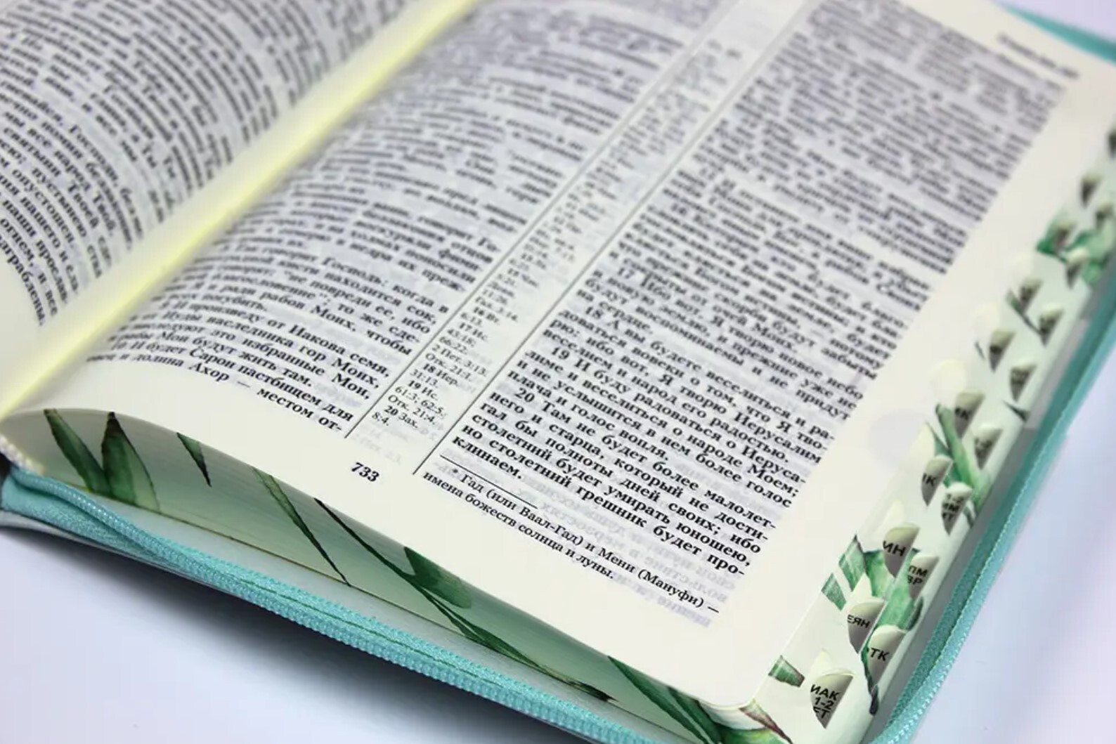 Bible with a lock. Desing Peonies, floral print on the cut pages. Greate Gift