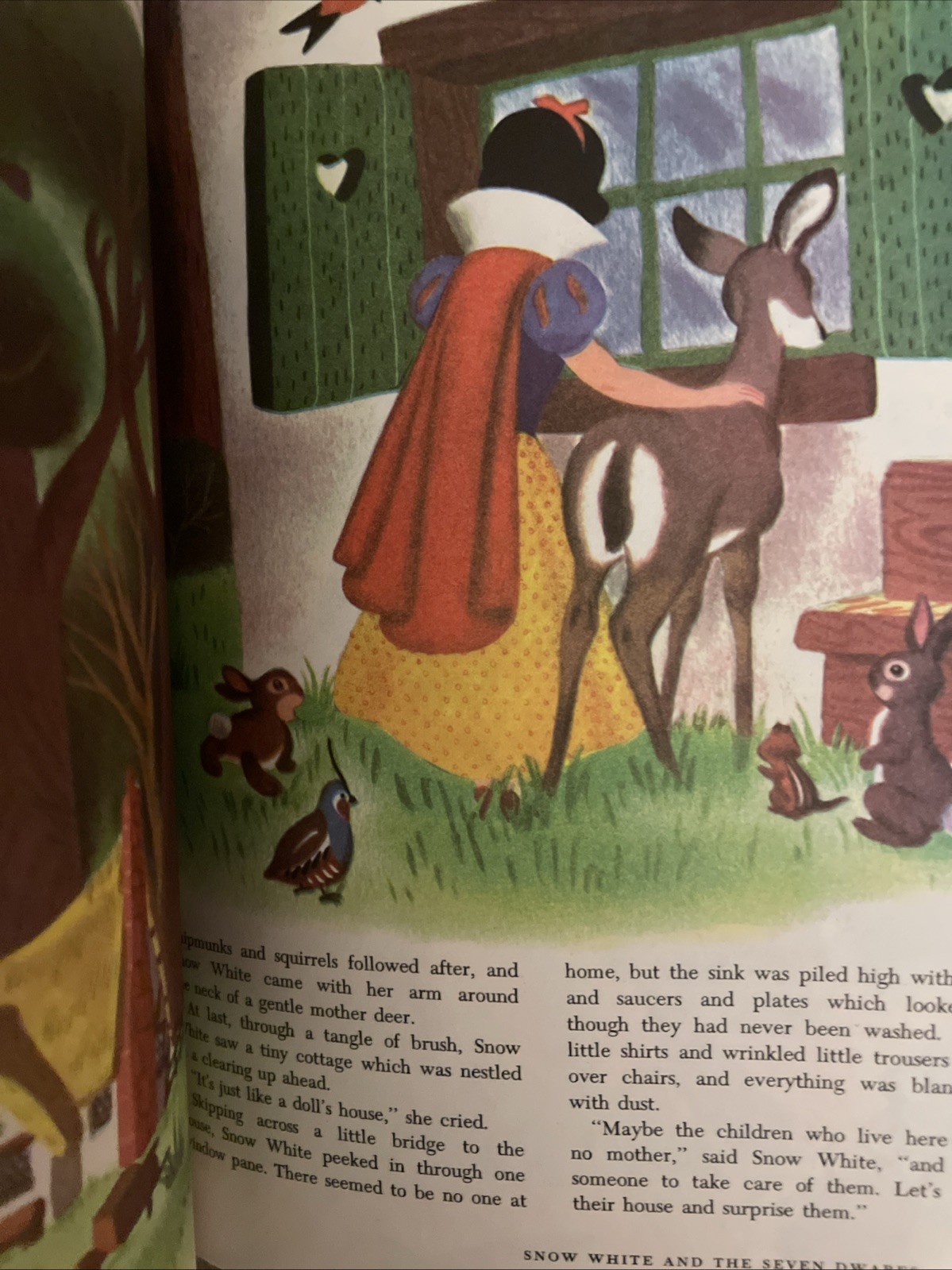 1965 The Wonderful Worlds of Walt Disney 4 Book Boxed Set Golden Press Vintage
