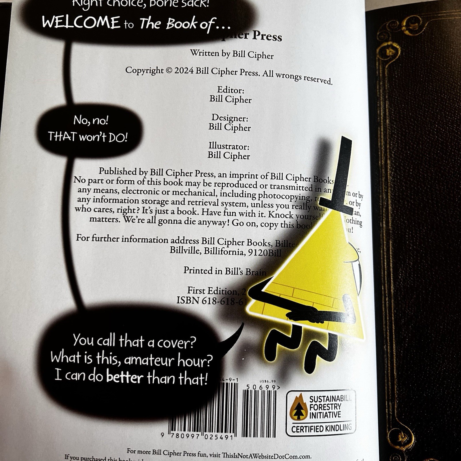 The Book of Bill Alex Hirsch Hardcover first edition