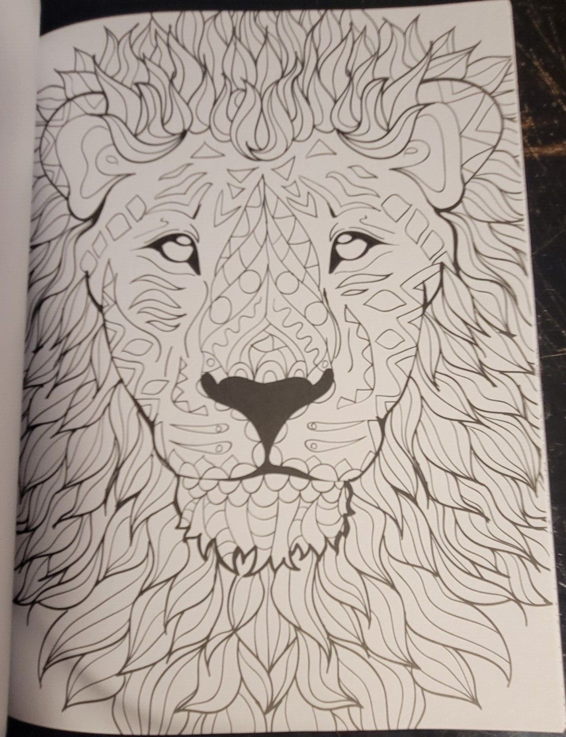 COLORS OF THE WILD Vol. 21 Adult Coloring Book With 47 Prints Ready To Frame!