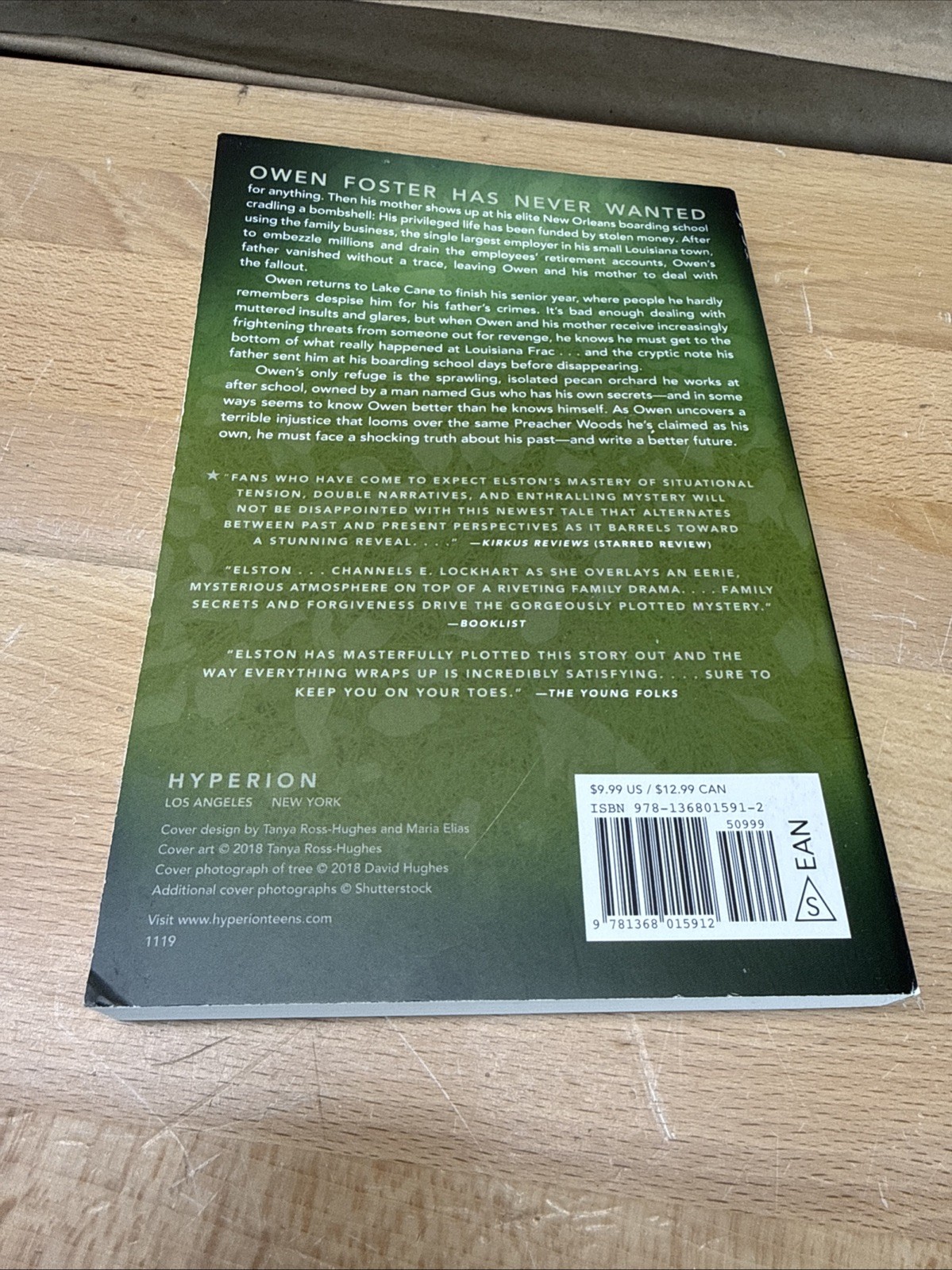 Lying Woods by Ashley Elston (2019, Trade Paperback)