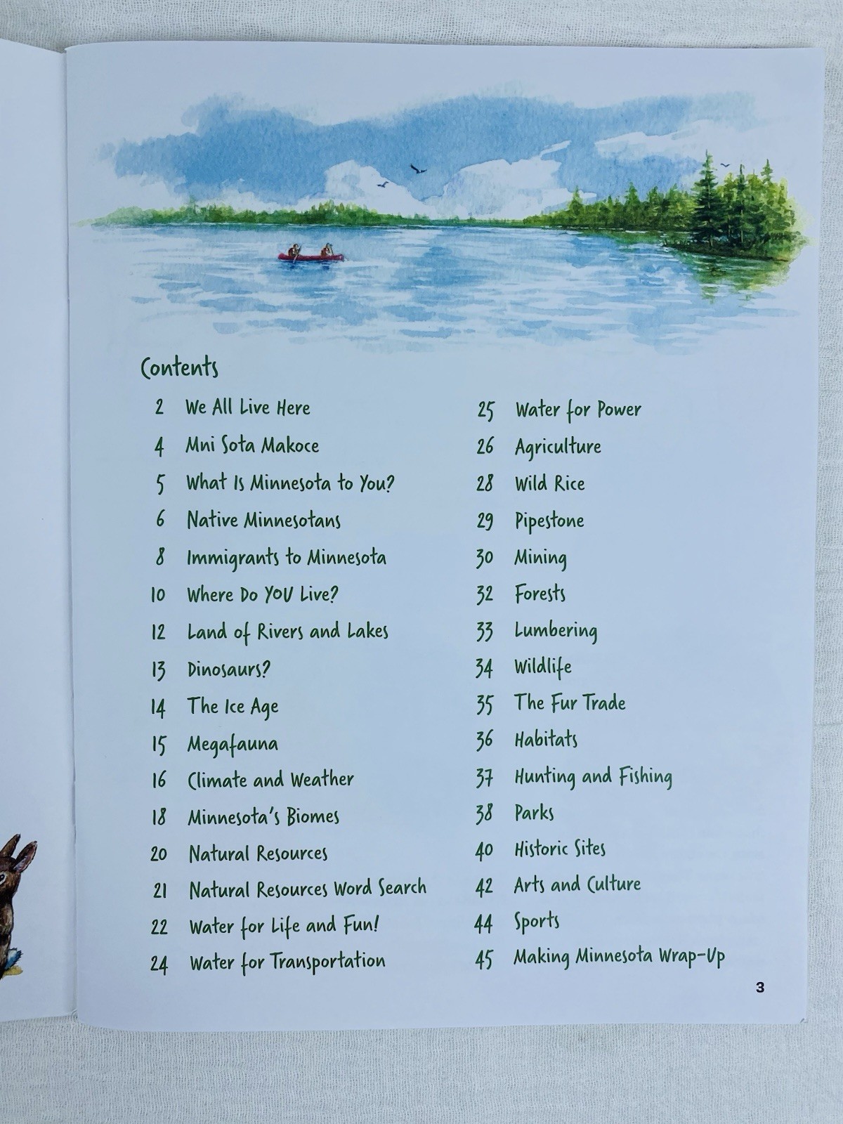 Making Minnesota – A Kids Activity Book. 45 Pages Paperback by Patricia Bauer