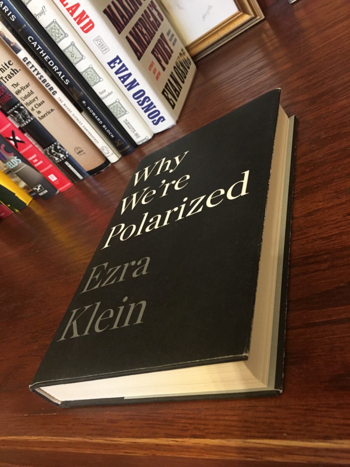 Why We’re Polarized. Ezra Klein 1st HC Ptg S & S 2020. Near Fine Unread