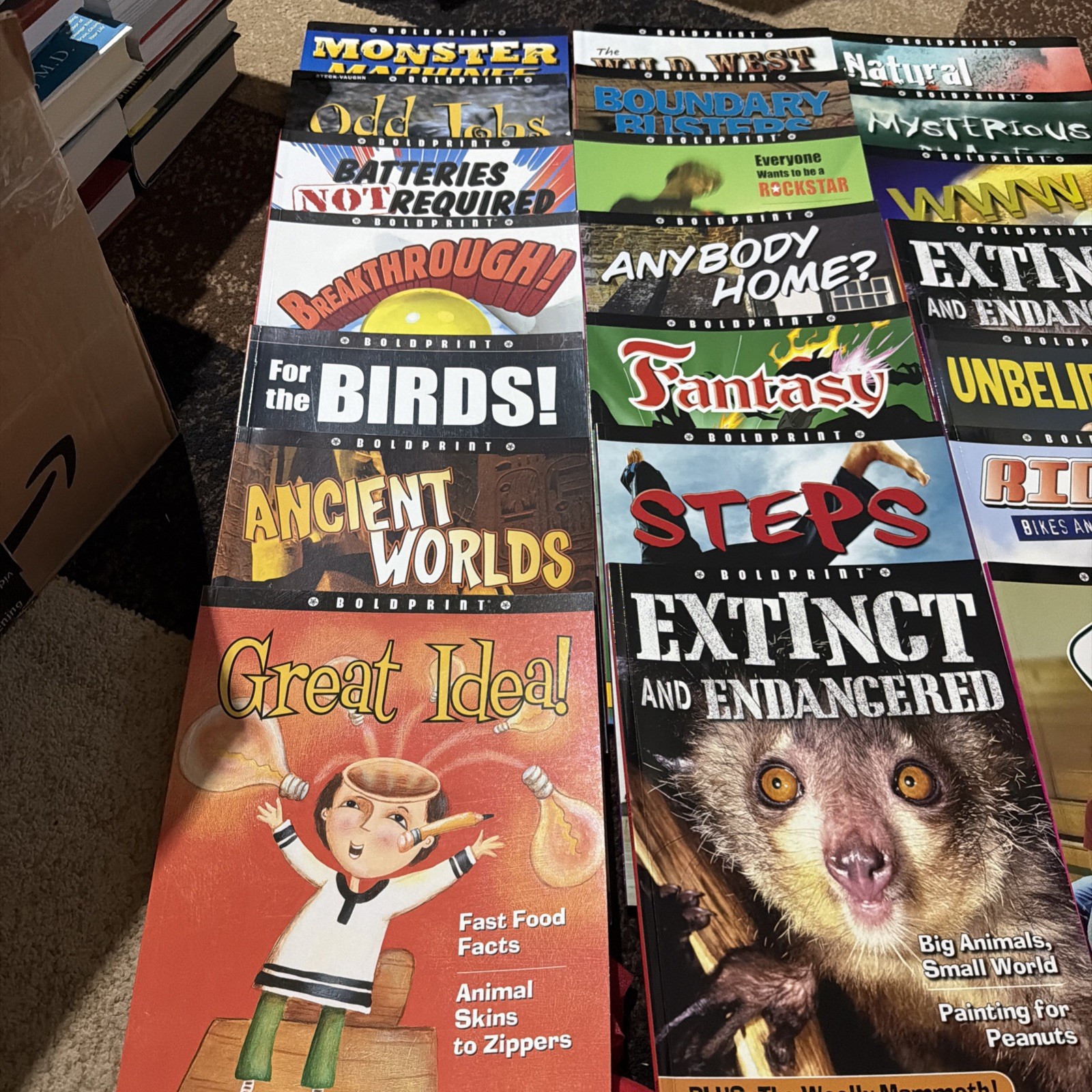 Lot of 21 Boldprint Steck Vaughn Books For Kids