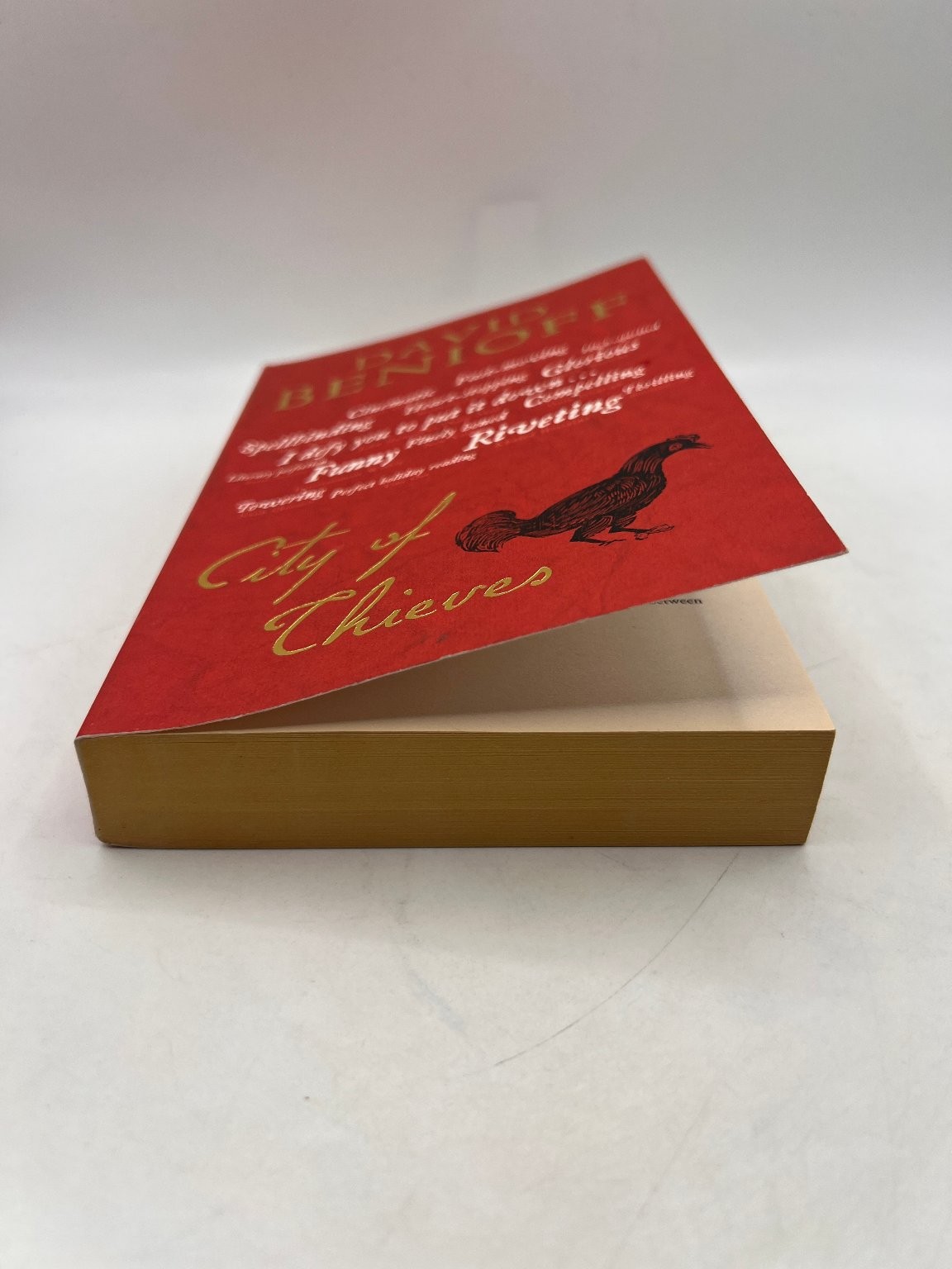 David Benioff City of Thieves Paperback Book Sceptre 2009 Edition English