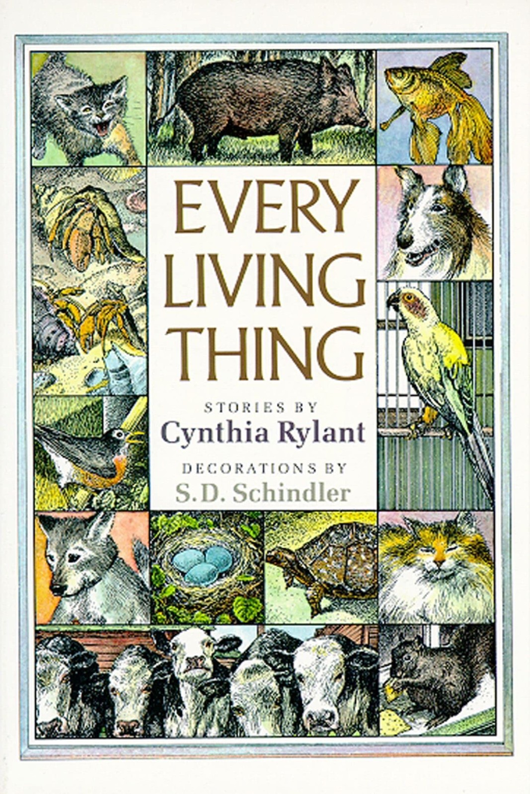 Every Living Thing – paperback Schindler, S.D.|Rylant, Cynthia