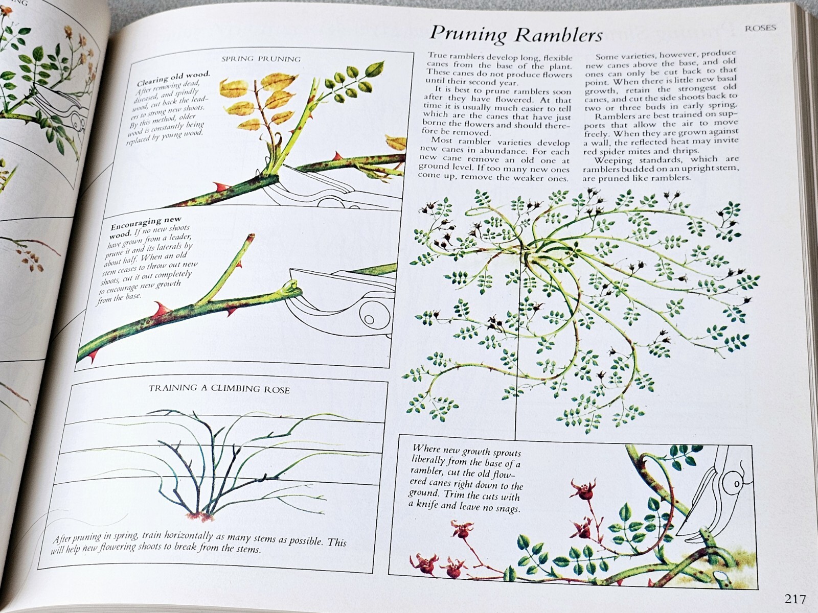 Reader’s Digest Illustrated Guide to Gardening Various 672 Pages Hardcover 1977
