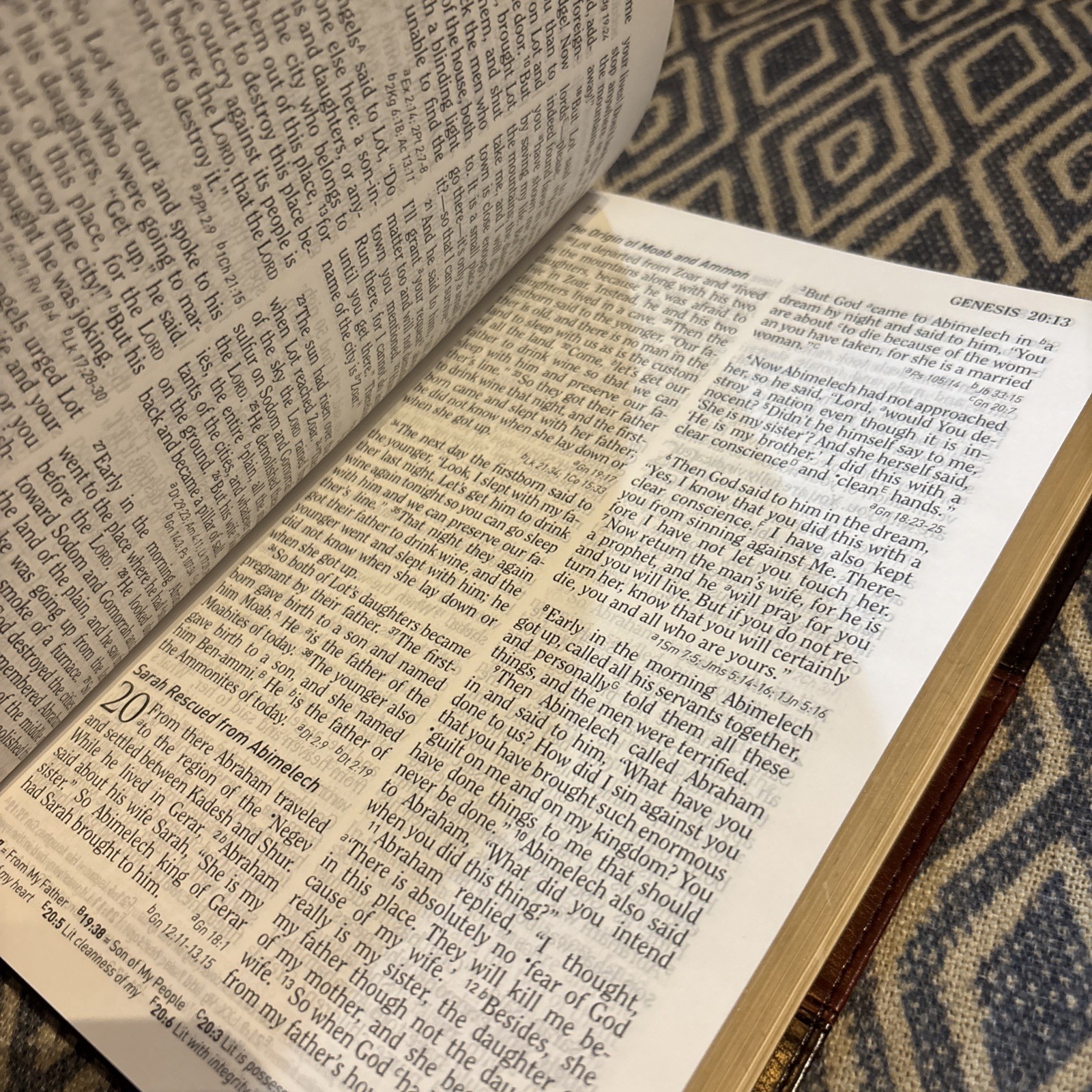 HCSB Ultrathin Reference Bible Dark Brown/Tan Simulated Leather book