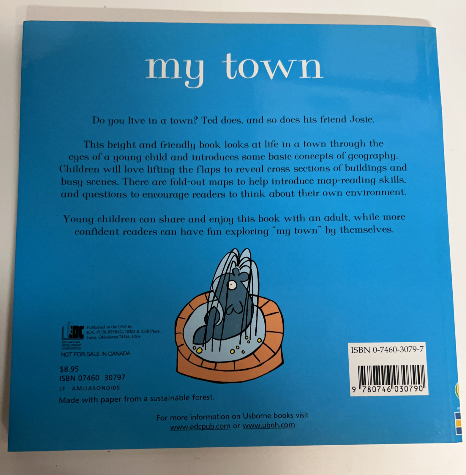 My Town (Usborne First Geography) by Treays, A Lift The Flap Book Young Readers