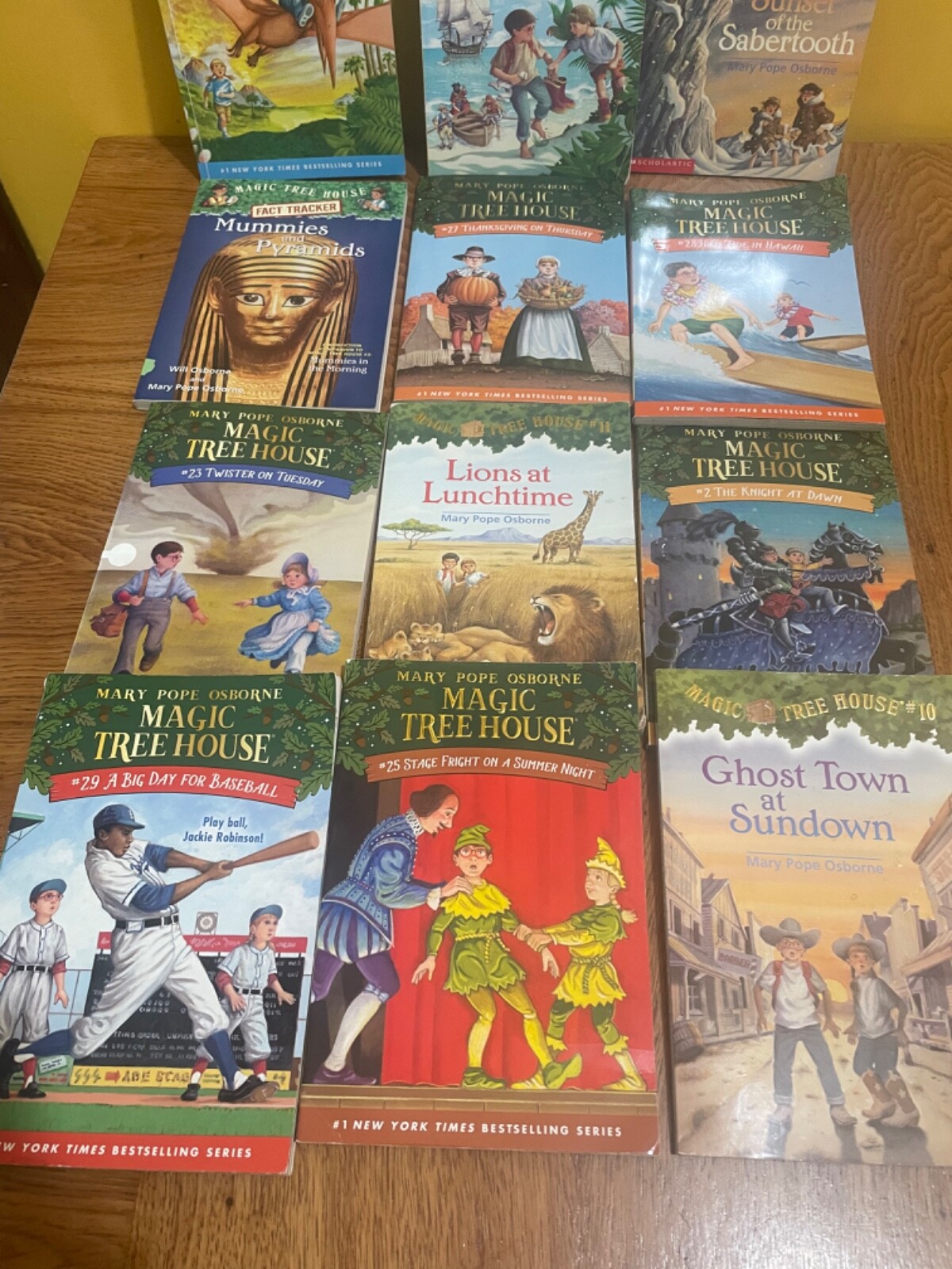 Random Lot of 12 Magic Tree House Books Mary Pope Osborne