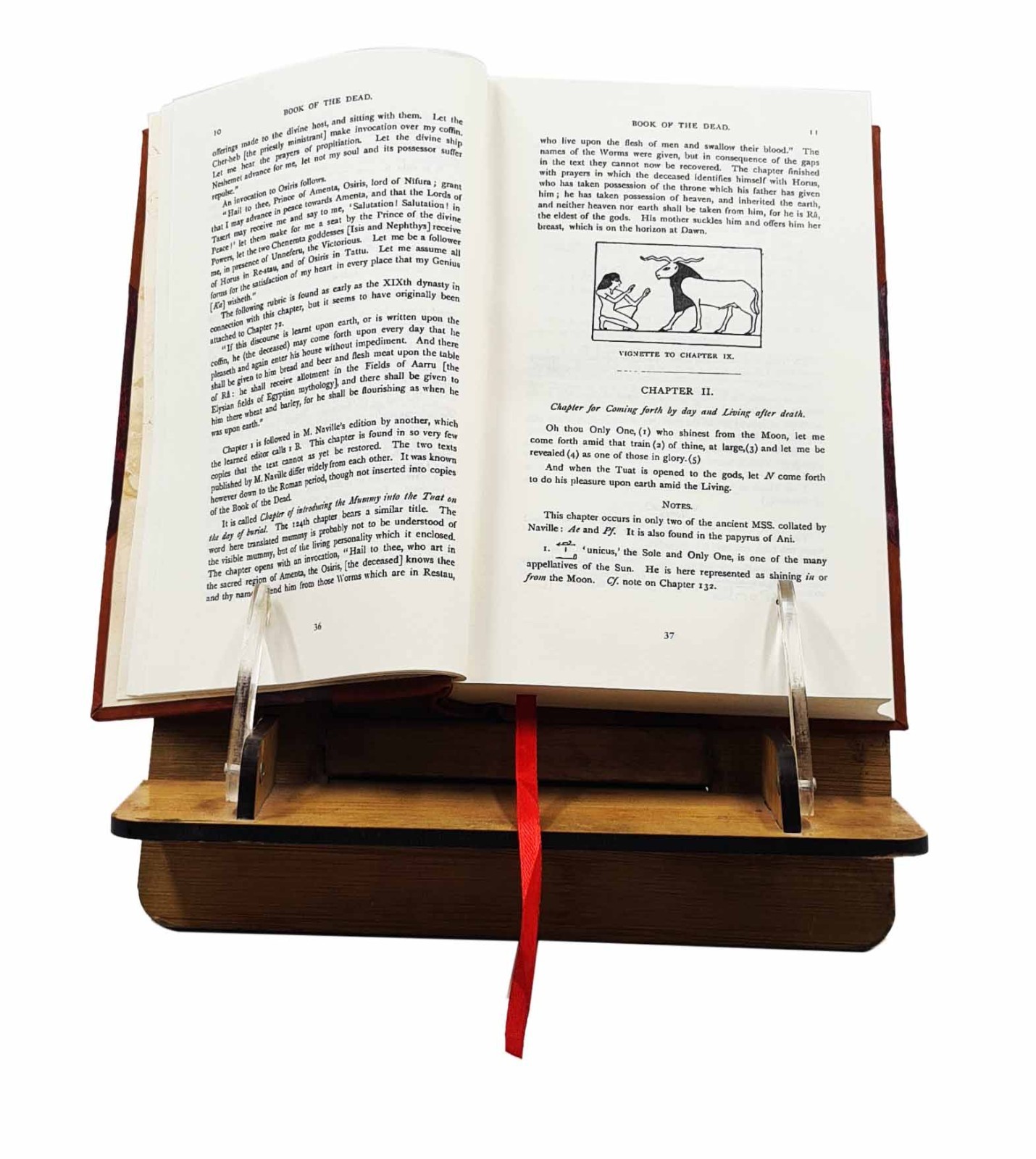The Egyptian Book Of The Dead 1904 [Bestselling Leather Bound]
