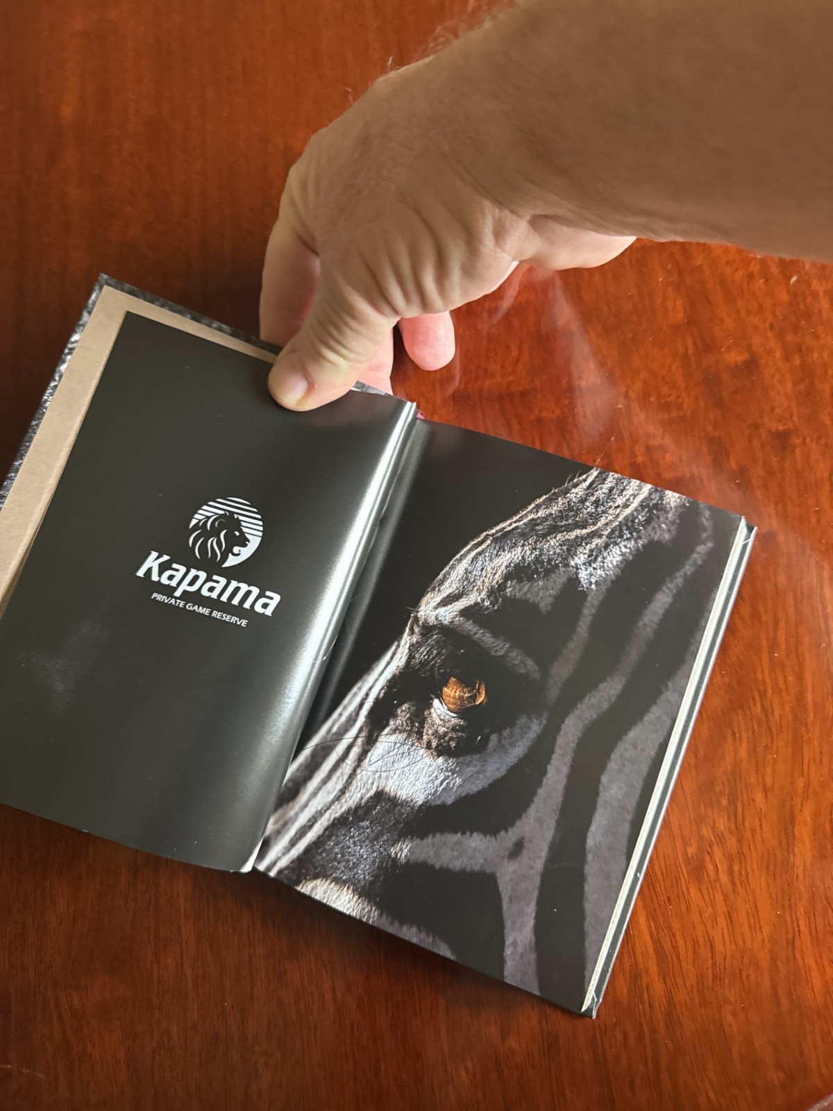 Kapama Private Game Reserve Safari Guide Book South Africa Wildlife Travel New
