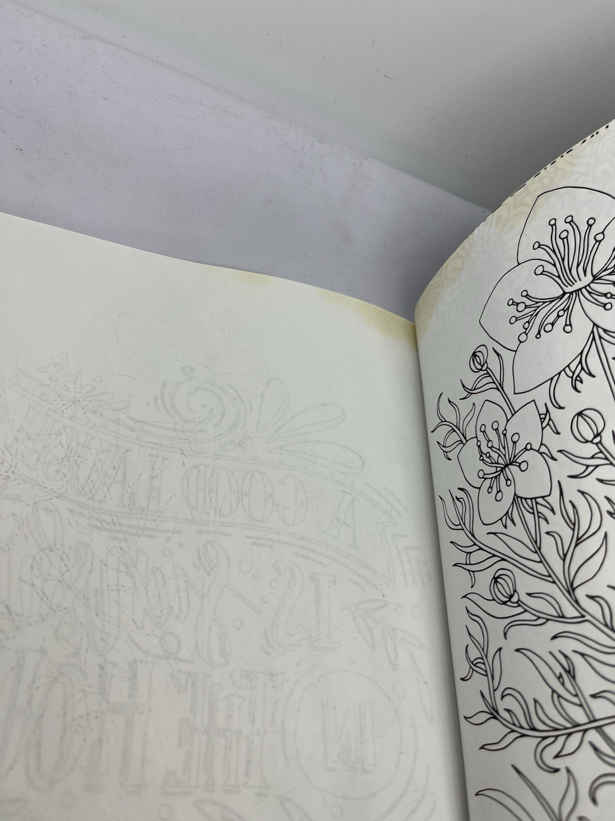 Color Your World: An Adult Coloring Book – 11×7.5″ – Large Art Coloring Book