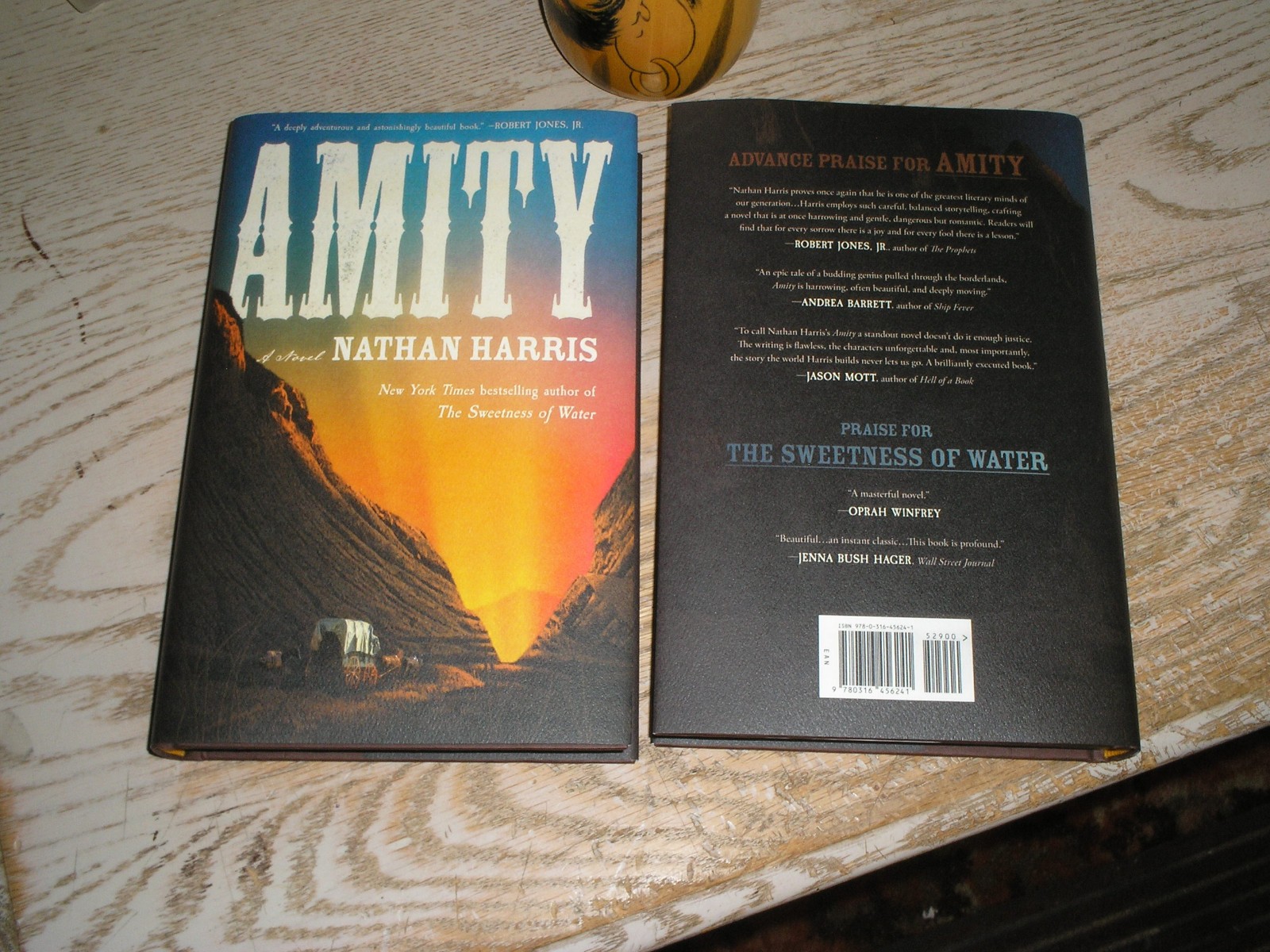 SIGNED 1st print, 1st edition AMITY : A Novel by Nathan Harris (2025, NEW HC)
