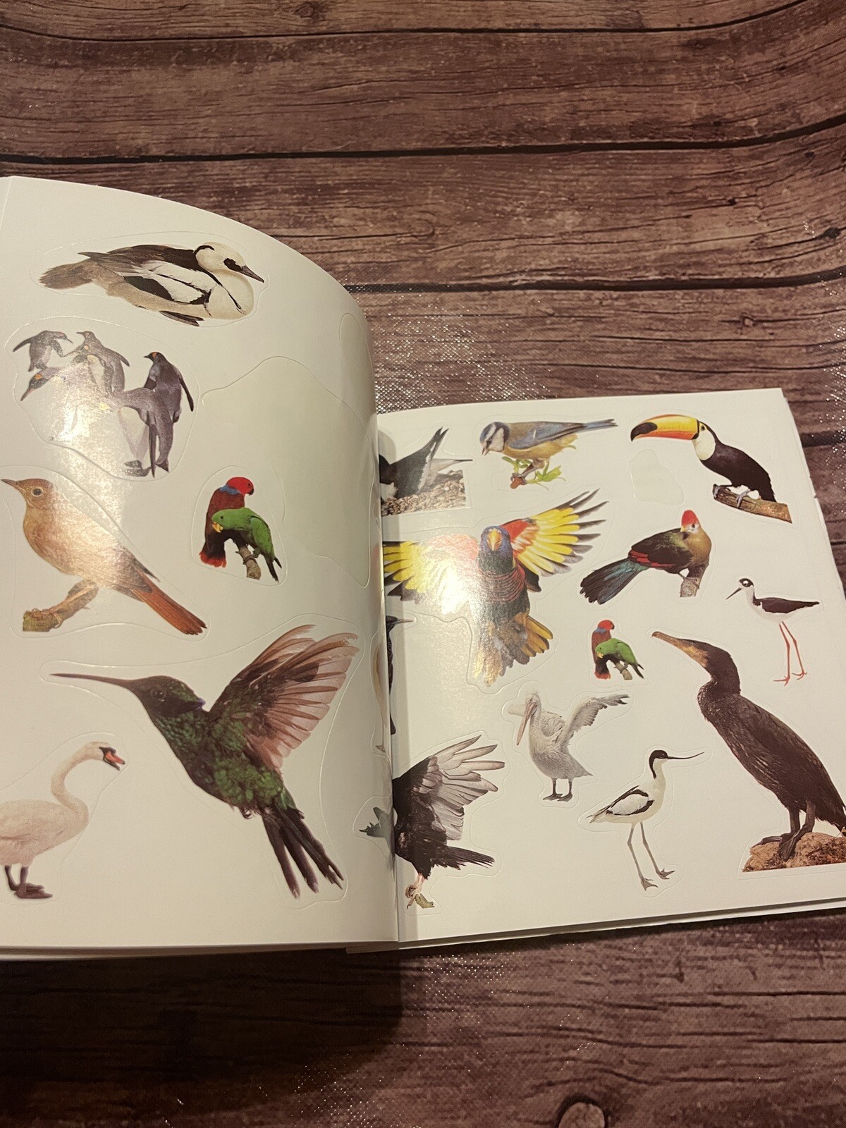 Sticker Fun Book of Animals Funfax SEE NOTES