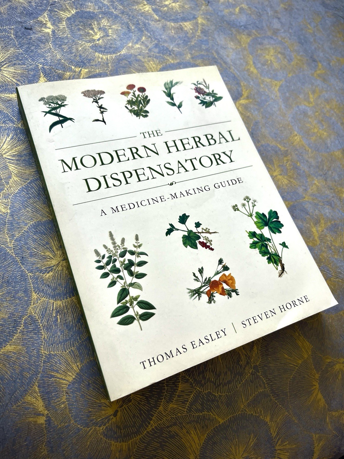 THE MODERN HERBAL DISPENSATORY A MEDICINE MAKING GUIDE EASLEY/HORNE BOTANICAL PB
