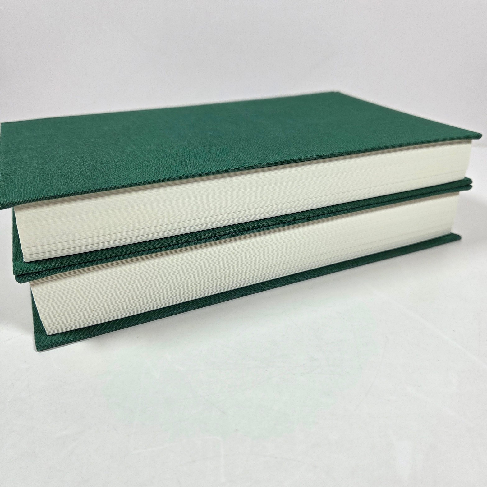 Philip Roth Collected Nonfiction 1960-2013 Nemesis 2006-2010 LOA #s 237 and 300