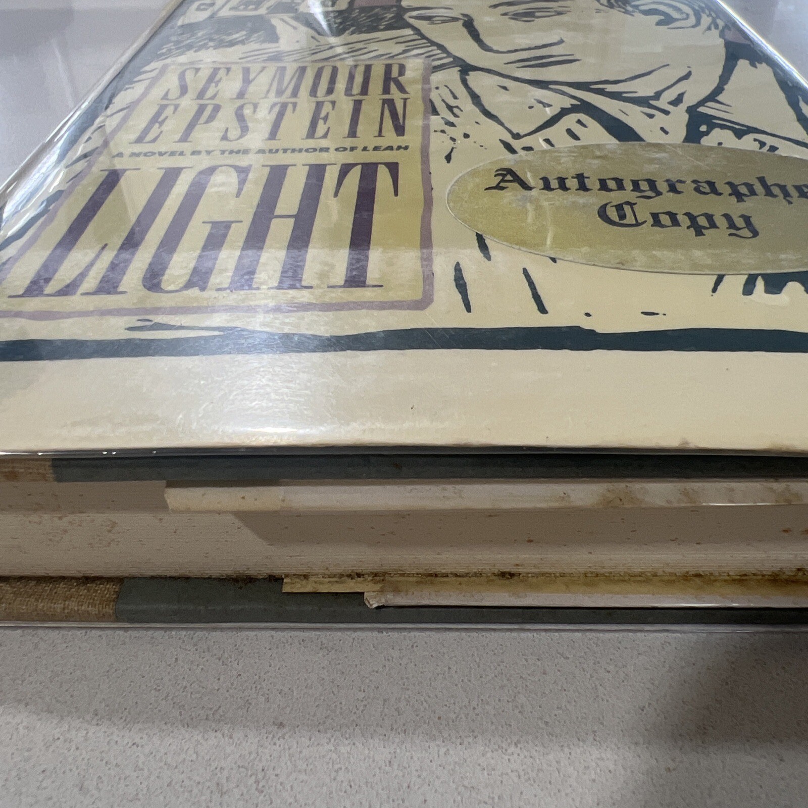 SIGNED* First Ed. 1989 Light by Seymour Epstein (Henry Holt) Hardcover w/ DJ