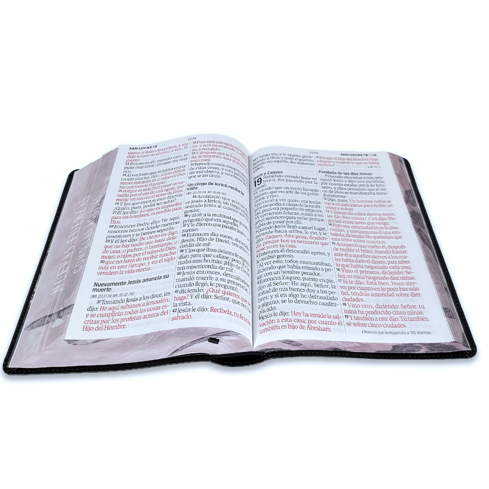 Biblia Letra Super Gigante 19 puntos RV1960 imit piel negro aguila