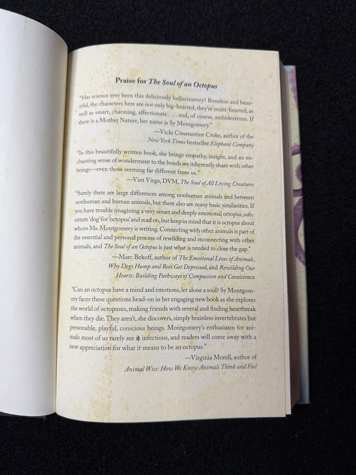 Soul of an Octopus : A Surprising Exploration into the Wonder of…