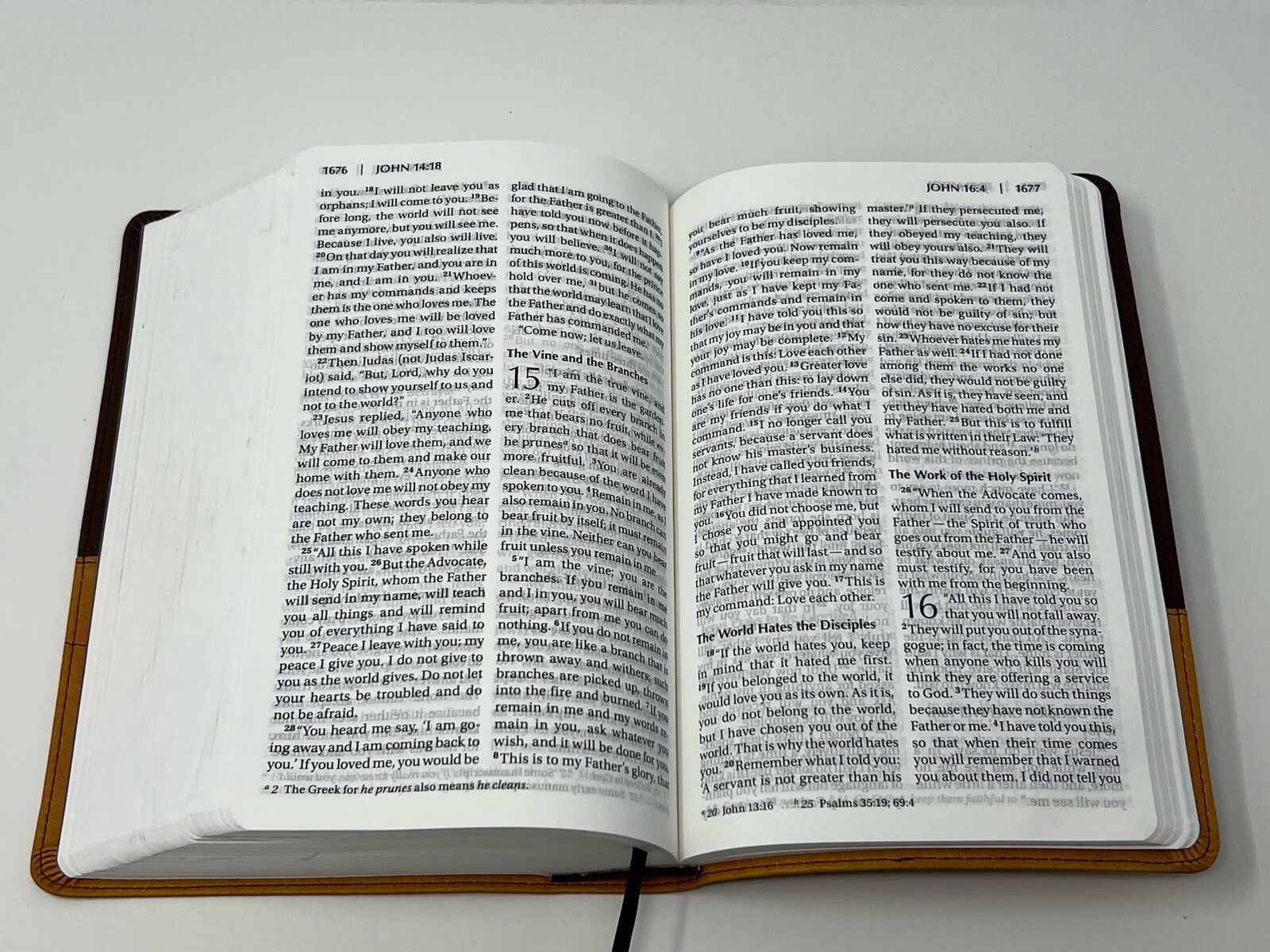 ✝️ LARGE PRINT Zondervan NIV Church Bible 2011 Duo-Tone Brown / Tan CLEAN