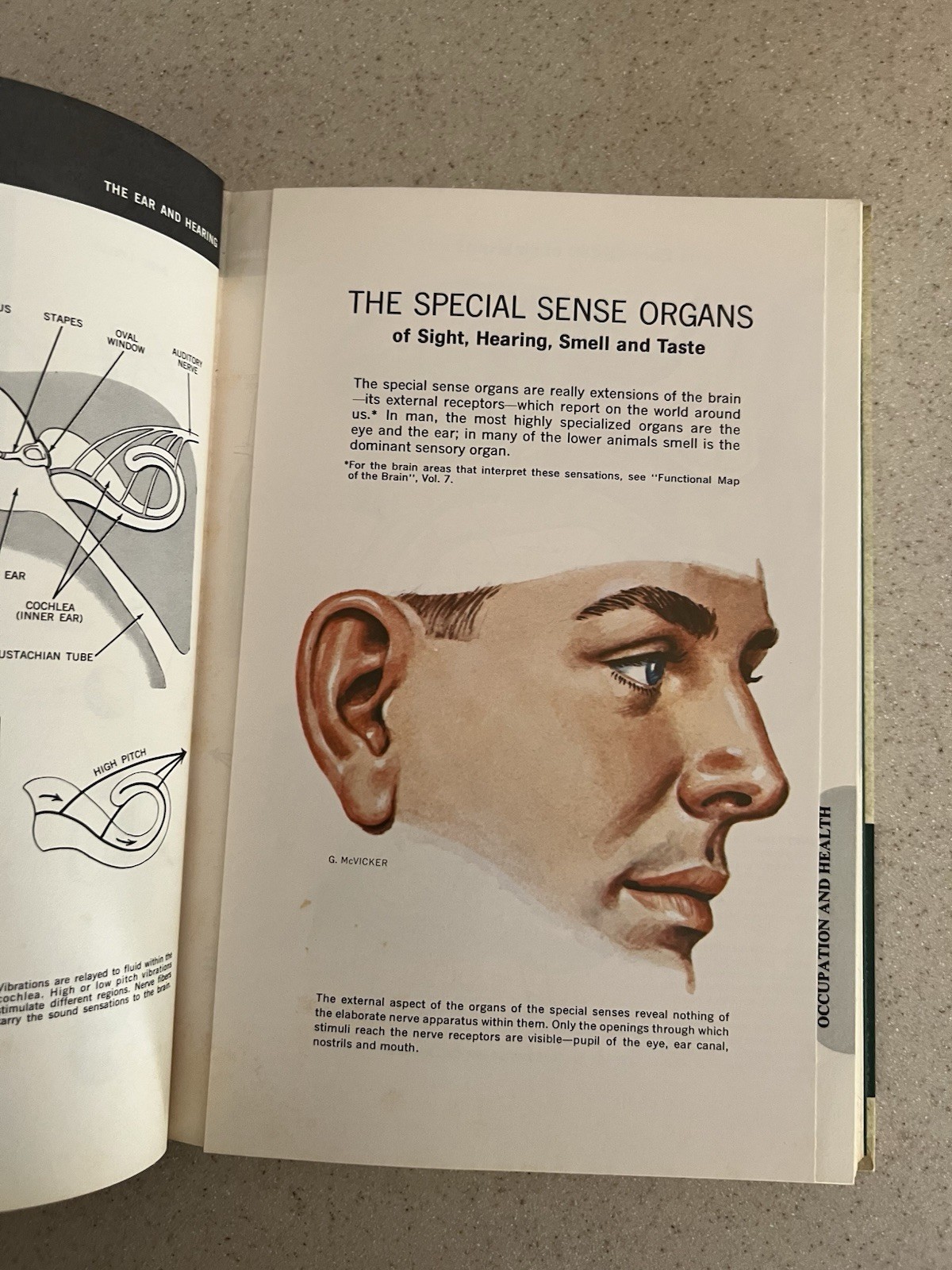 Vtg 1964 The New Illustrated Medical & Health Encyclopedia 1-14 Complete Set HB