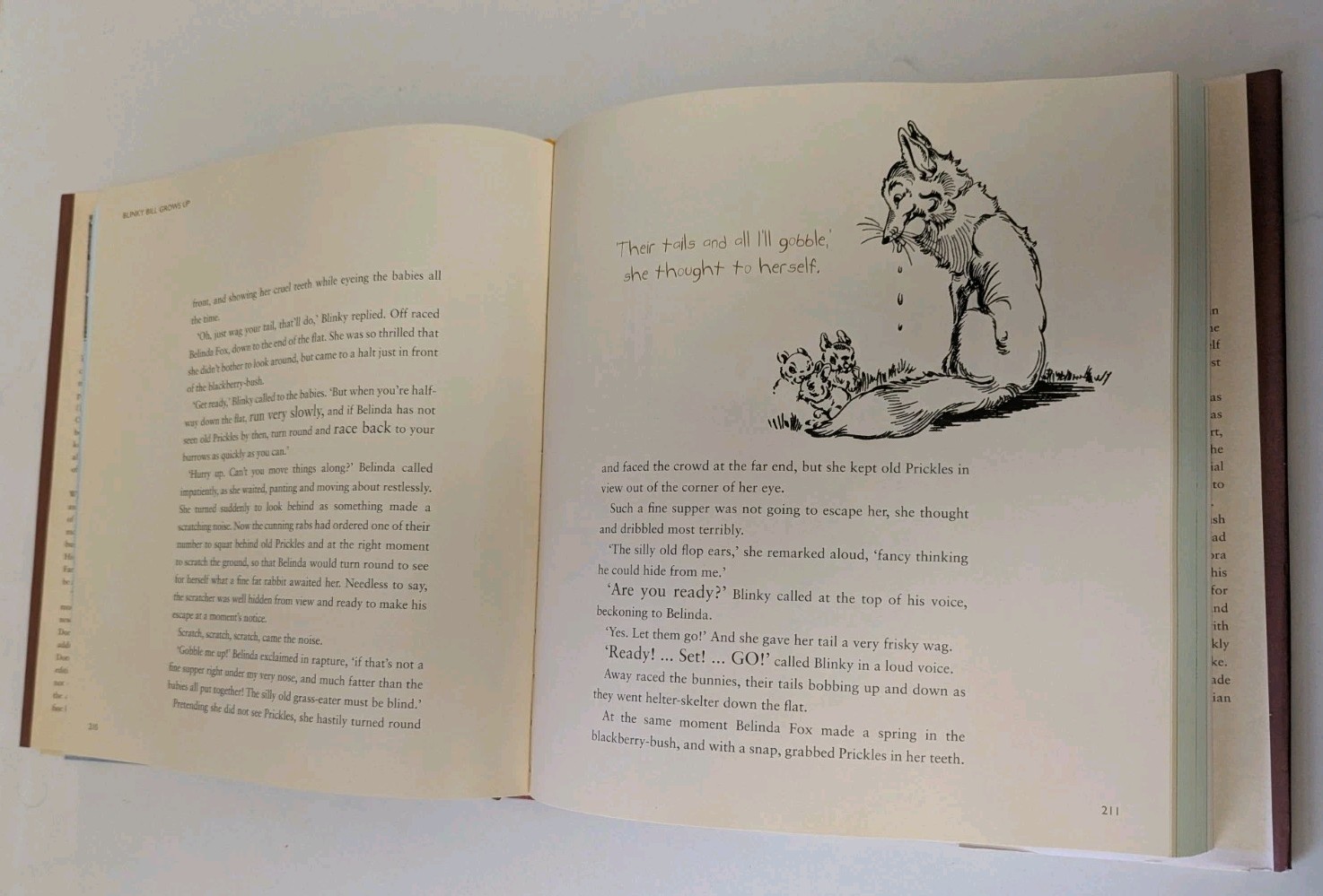 1990 Complete Adventures Blinky Bill Story & Illustrations HC Dorothy Wall