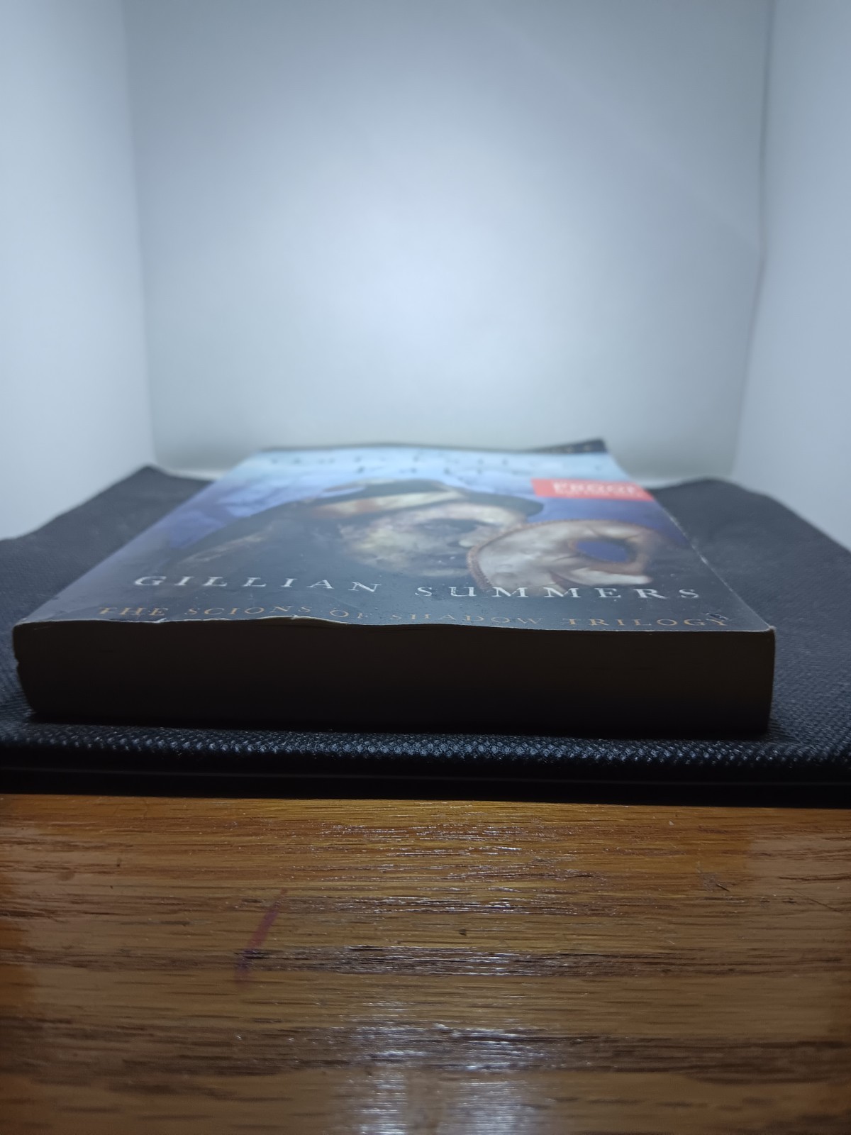 The Quicksilver Faire by Gillian Summers. Uncorrected Proof Copy. #6