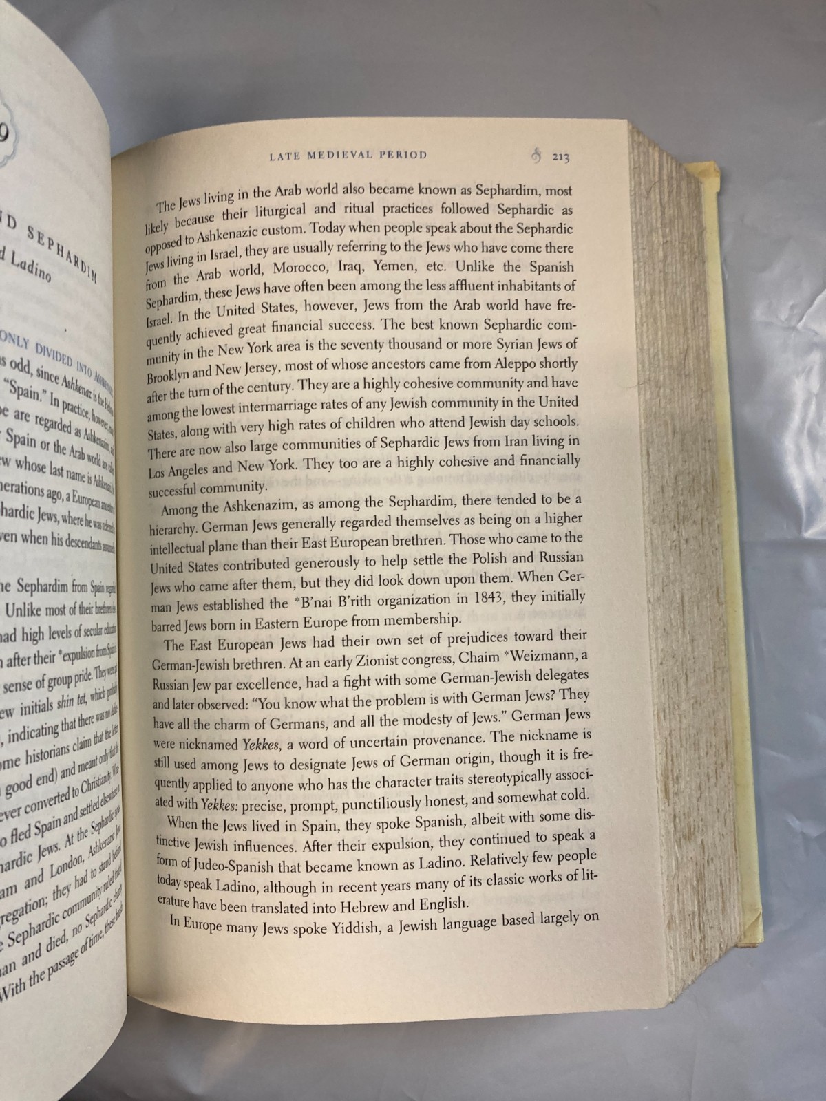 Jewish Literacy Revised Ed: VG