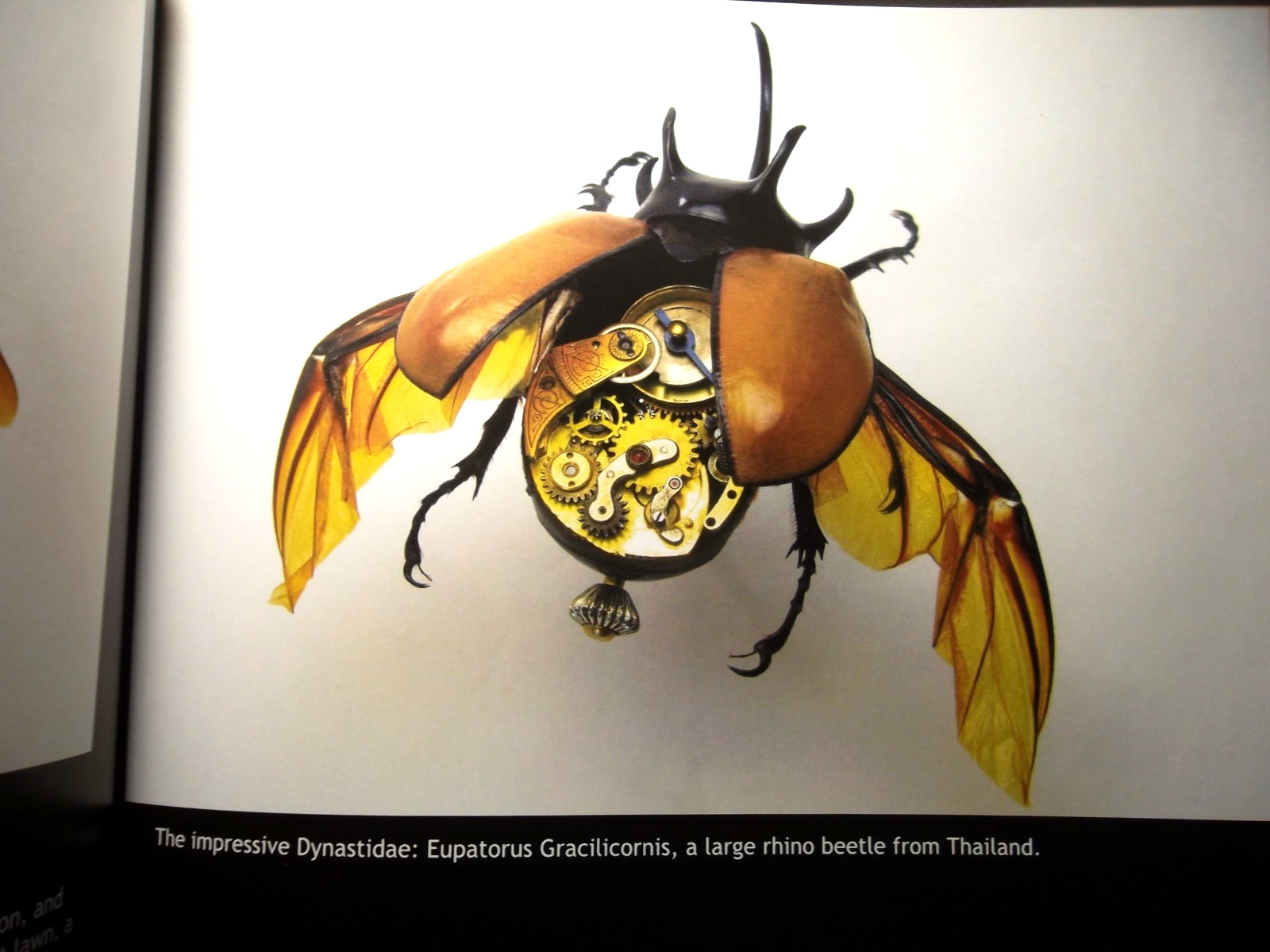 Insect Lab by Mike Libby