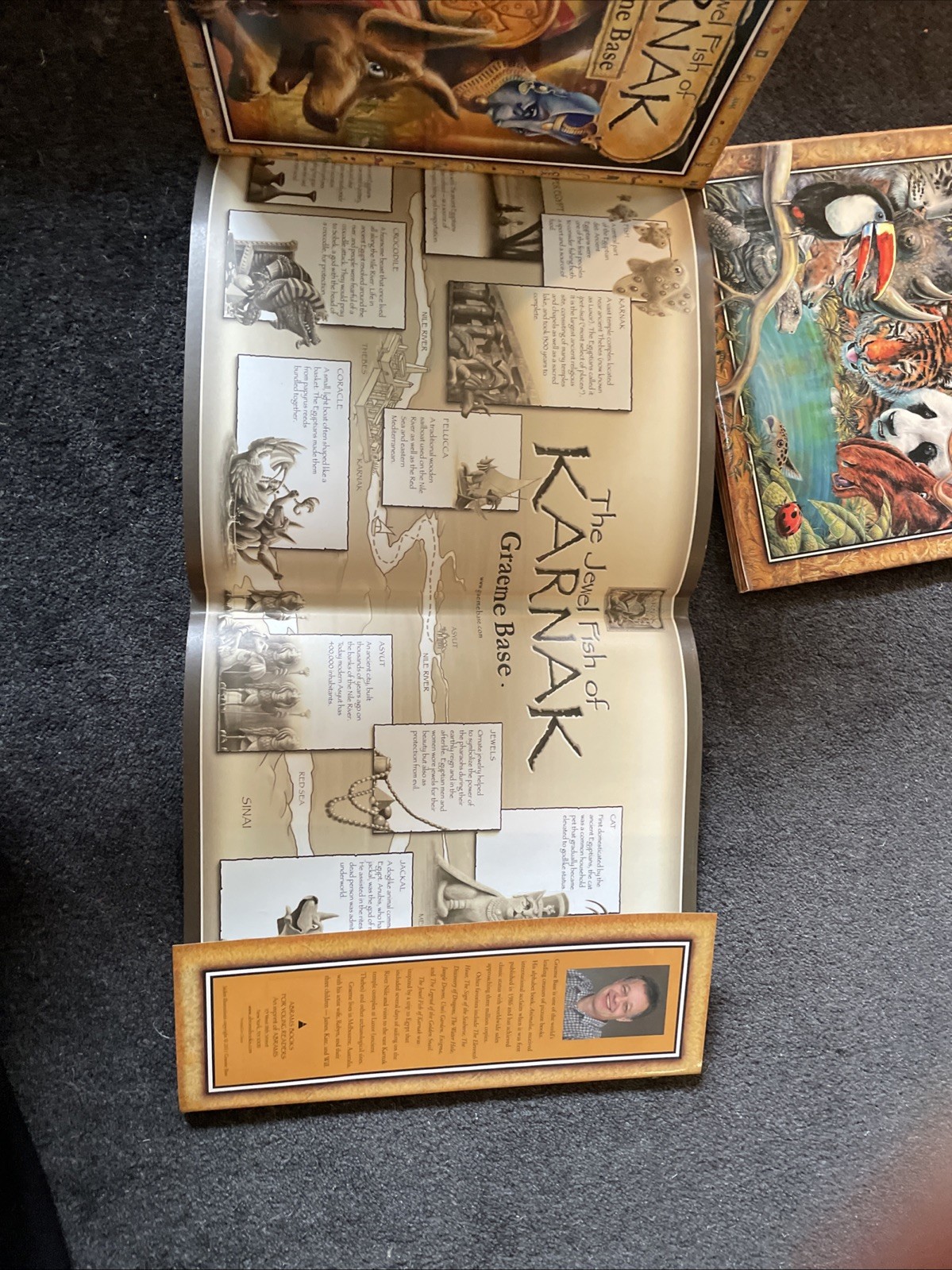 Lot of 8 Graeme Base Picture Books ALL HC Animalia Grandma Pop-up Eleventh Hour