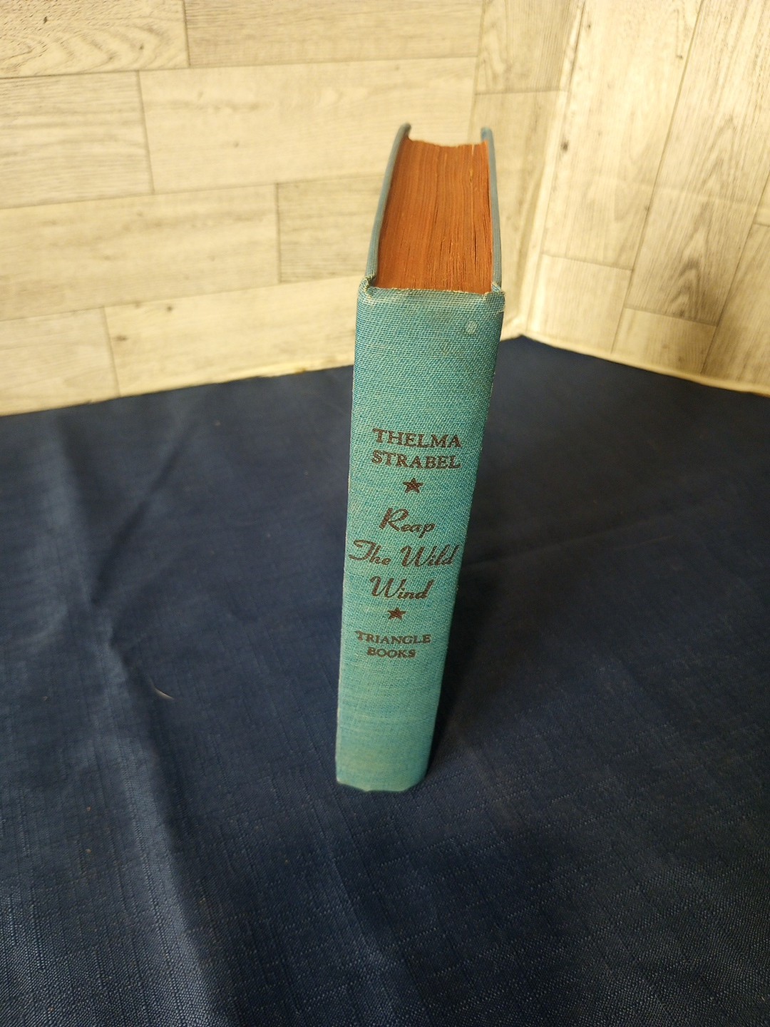 Reap The Wild Wind 1942 Hardcover Wartime Printing Thelma Strabel Vintage Novel