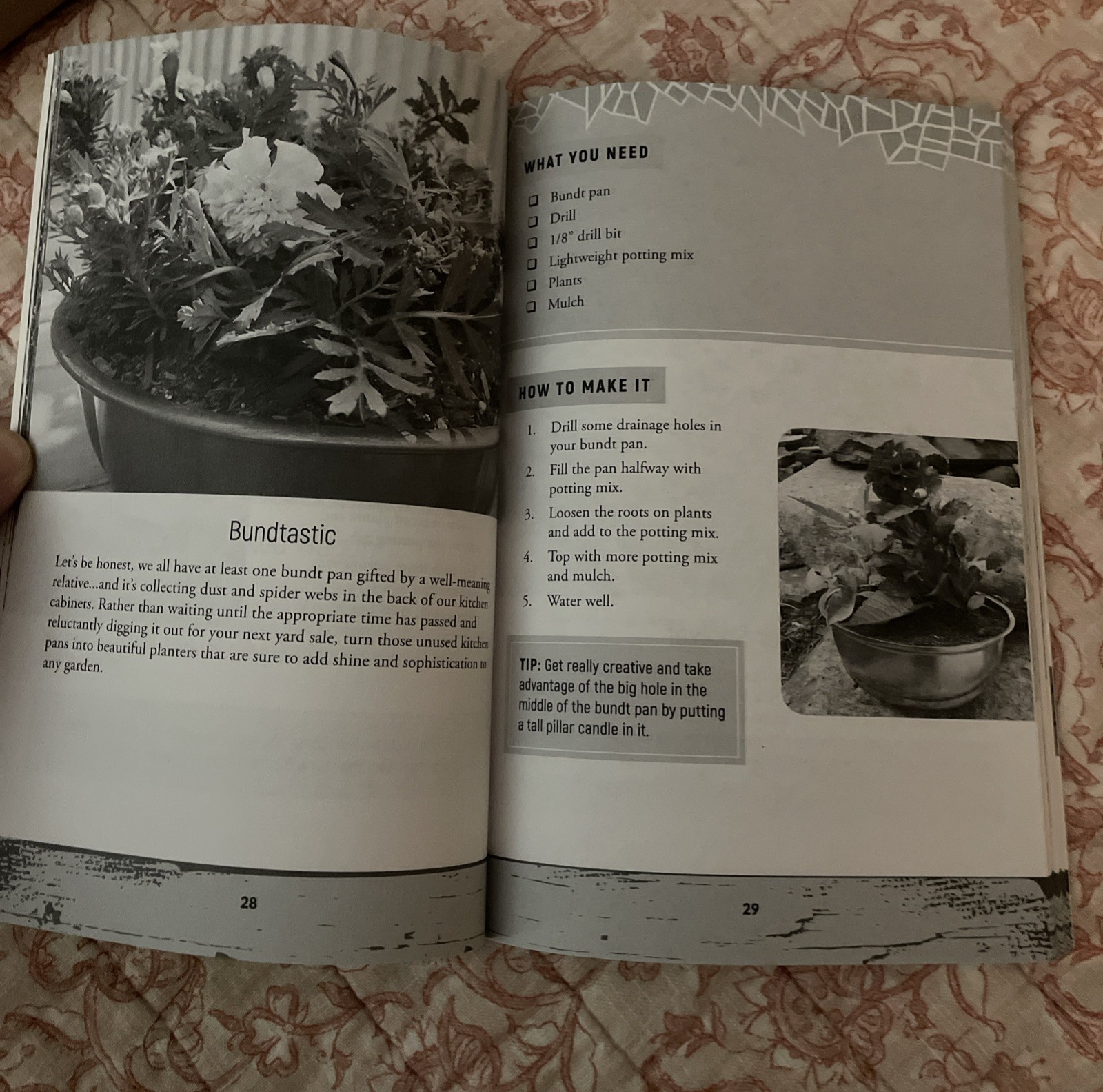 The Backyard Harvest 50 Container Gardening Projects Susan Patterson Paperback