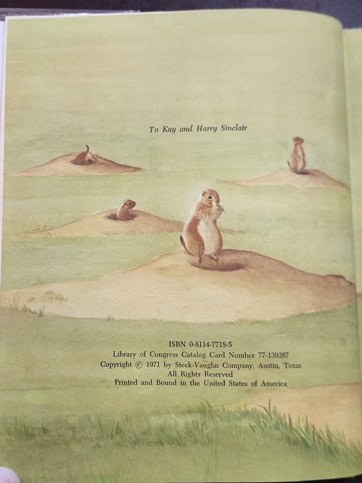 YIPPY ~ SIGNED by Elizabeth Rice 1971 hcdj FIRST EDTION ~ Scarce Collectible