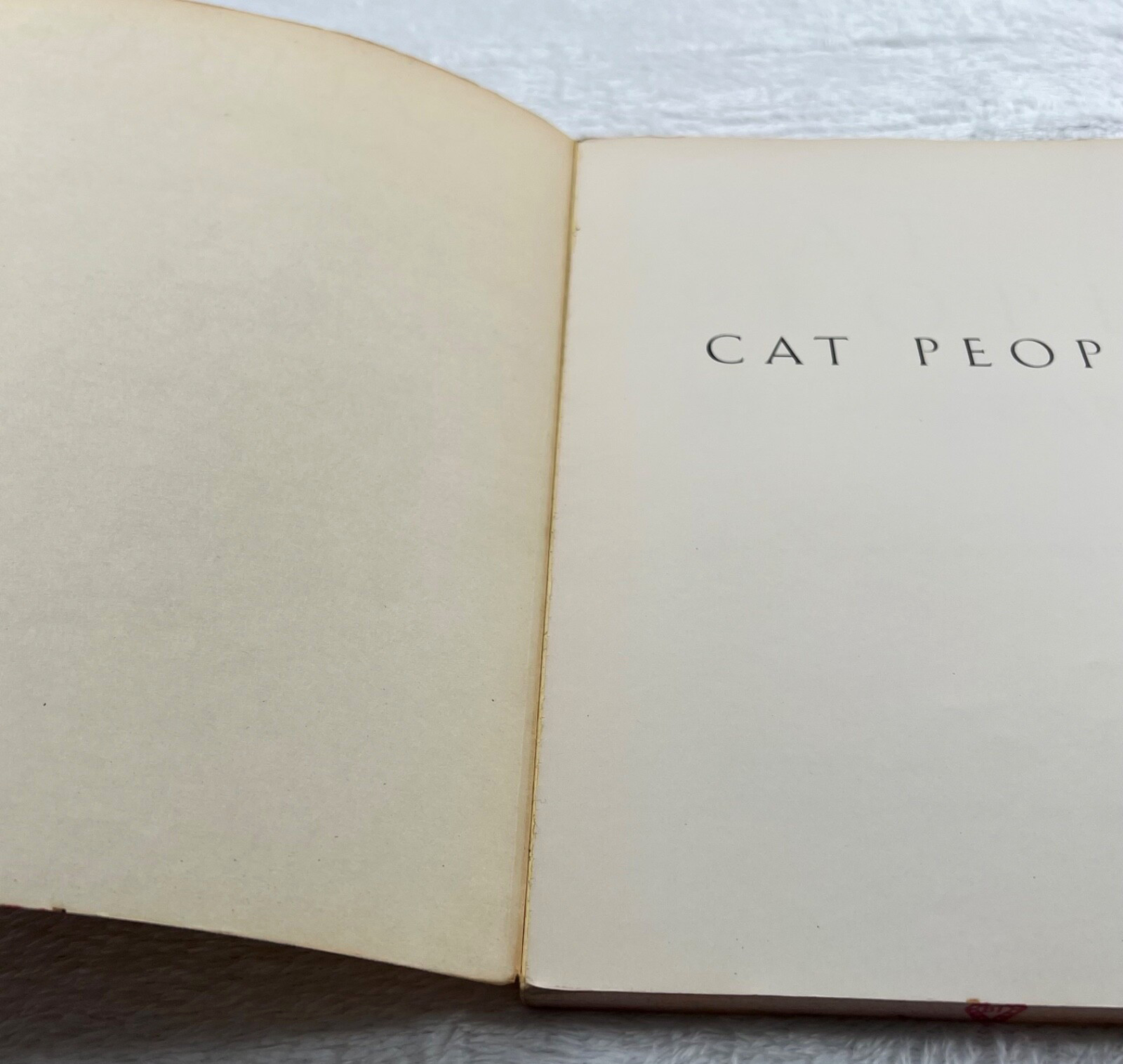 Cat People by Bill Hayward Softcover First Edition, 2nd Printing 1978, 158 pages