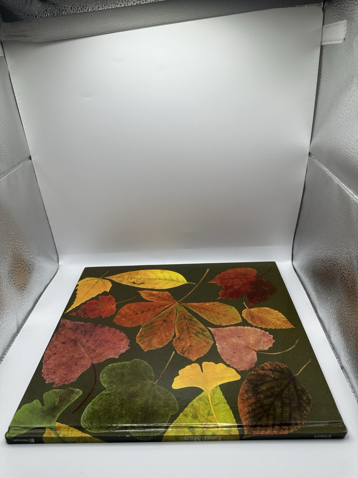 Leaf Man By Lois Ehlert