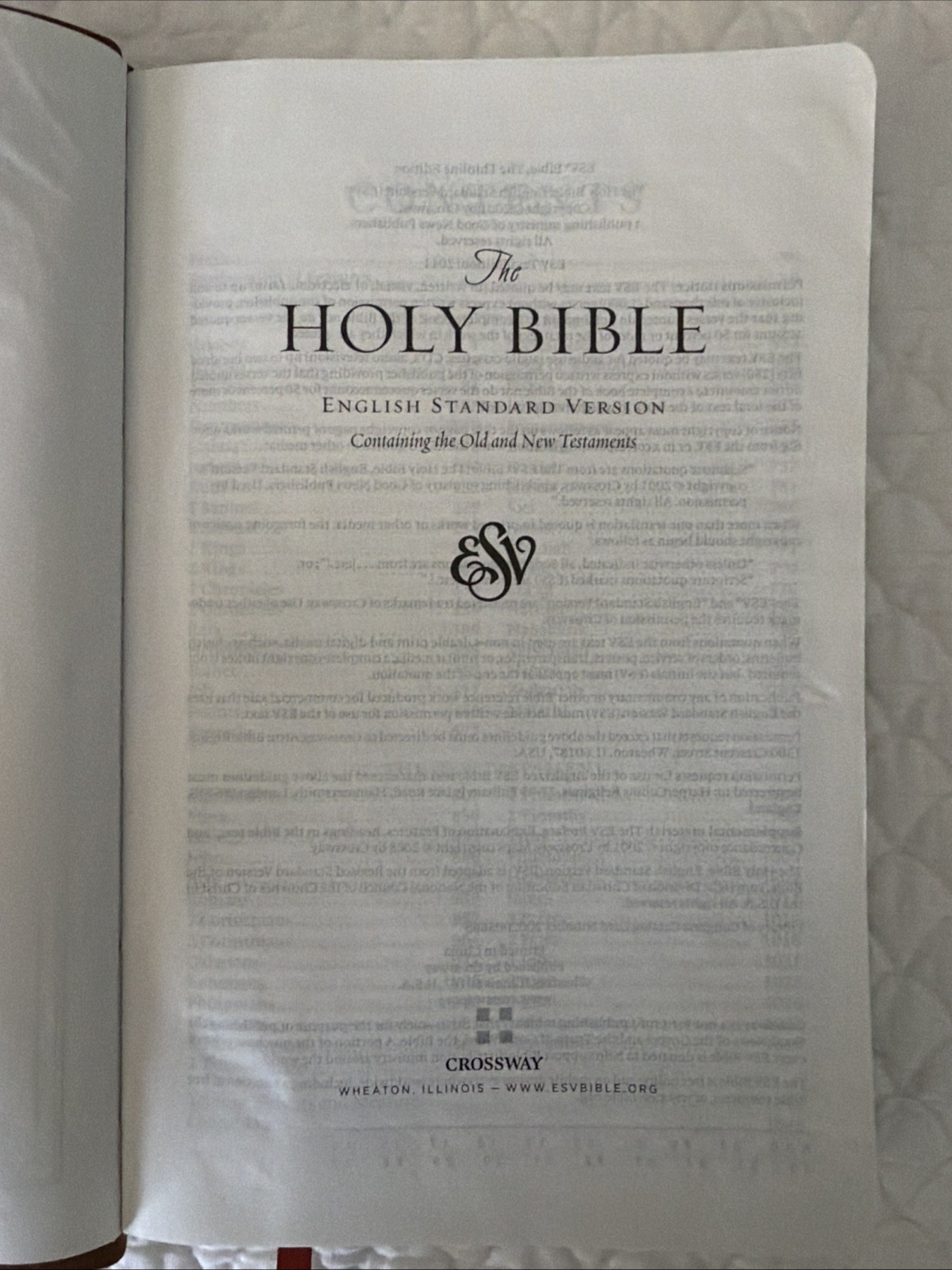 ESV Thinline Bible TruTone Nutmeg Filigree Design Red Letter Text 9781581347210